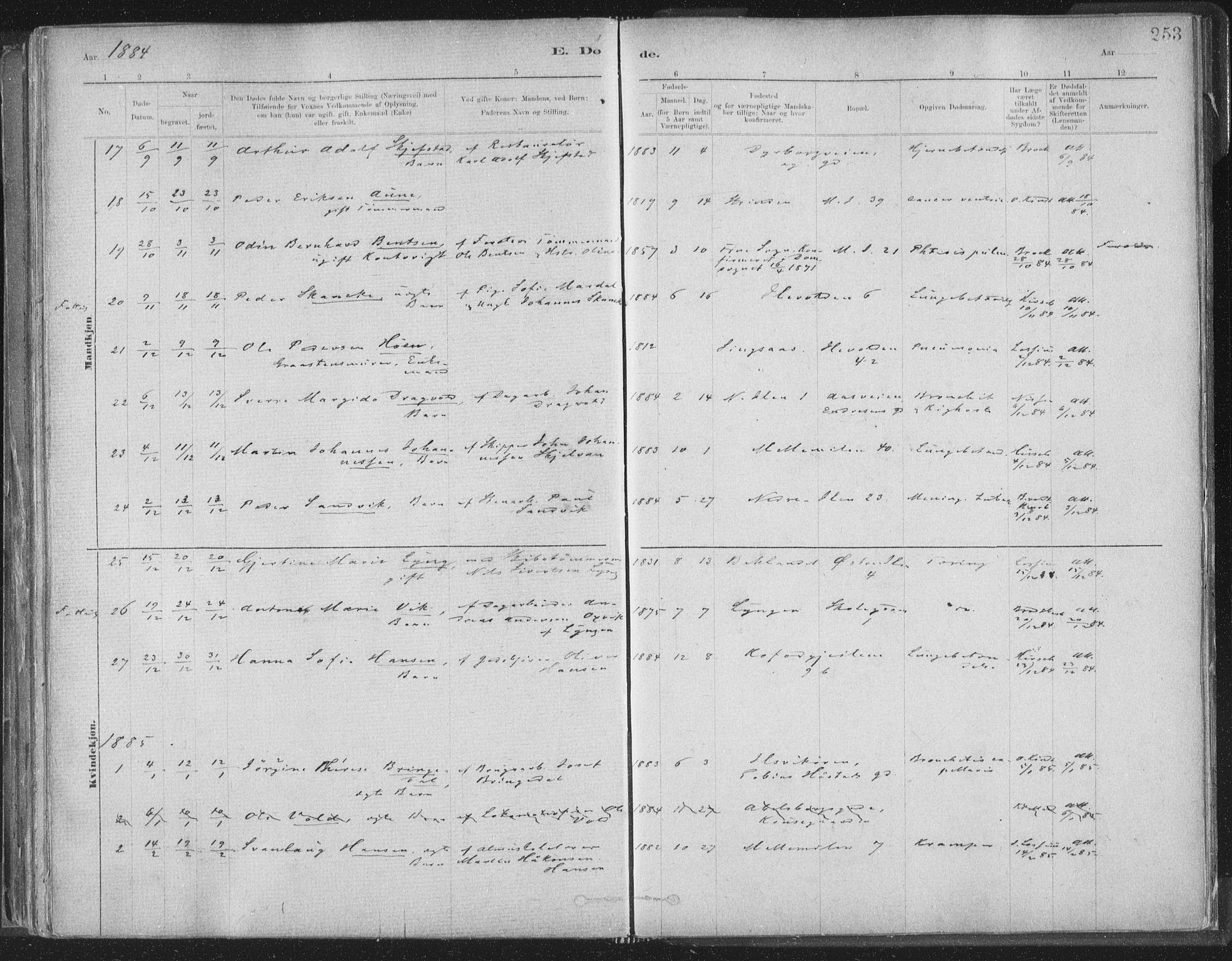 Ministerialprotokoller, klokkerbøker og fødselsregistre - Sør-Trøndelag, SAT/A-1456/603/L0162: Parish register (official) no. 603A01, 1879-1895, p. 253