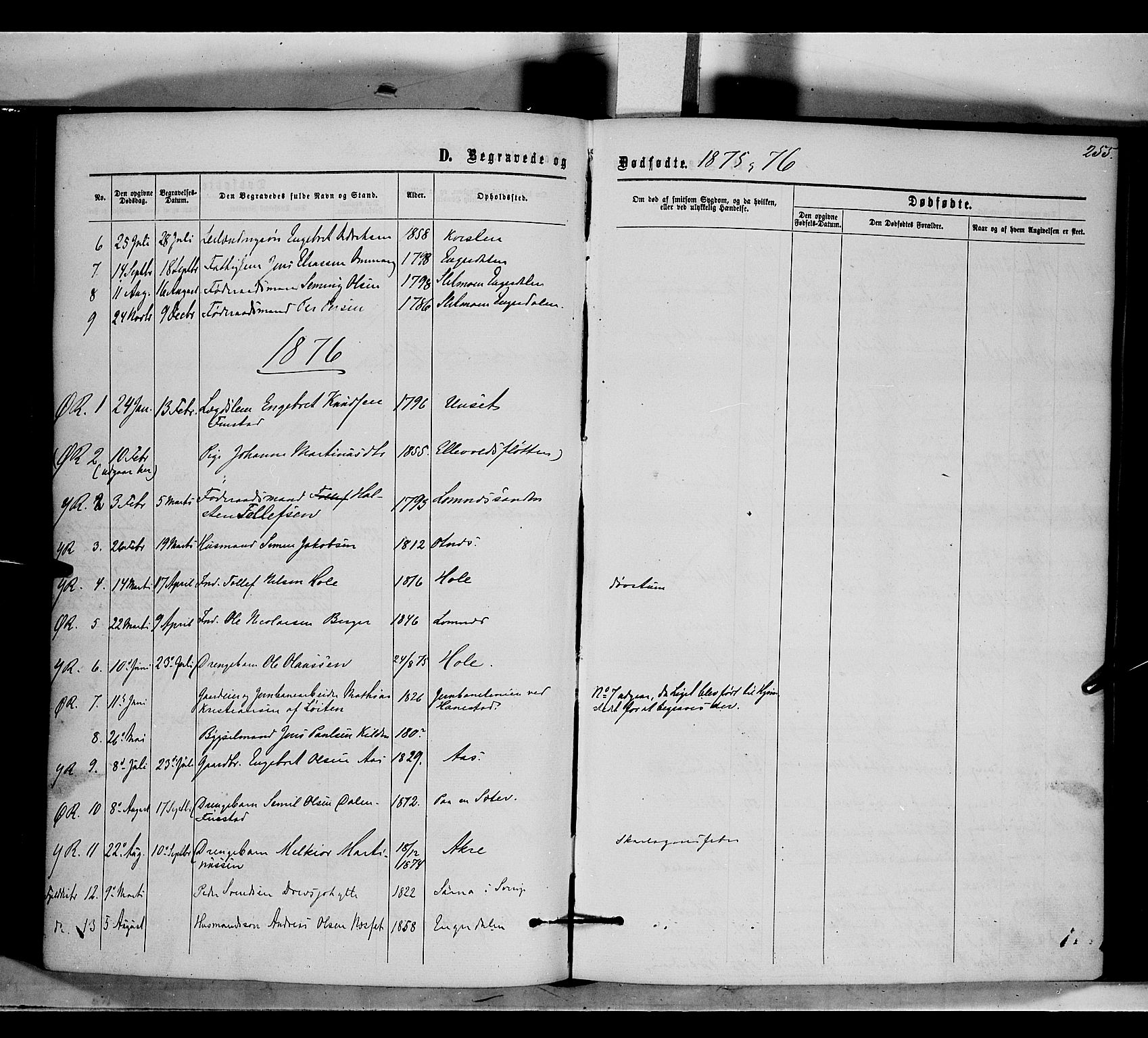 Rendalen prestekontor, AV/SAH-PREST-054/H/Ha/Haa/L0006: Parish register (official) no. 6, 1867-1877, p. 255