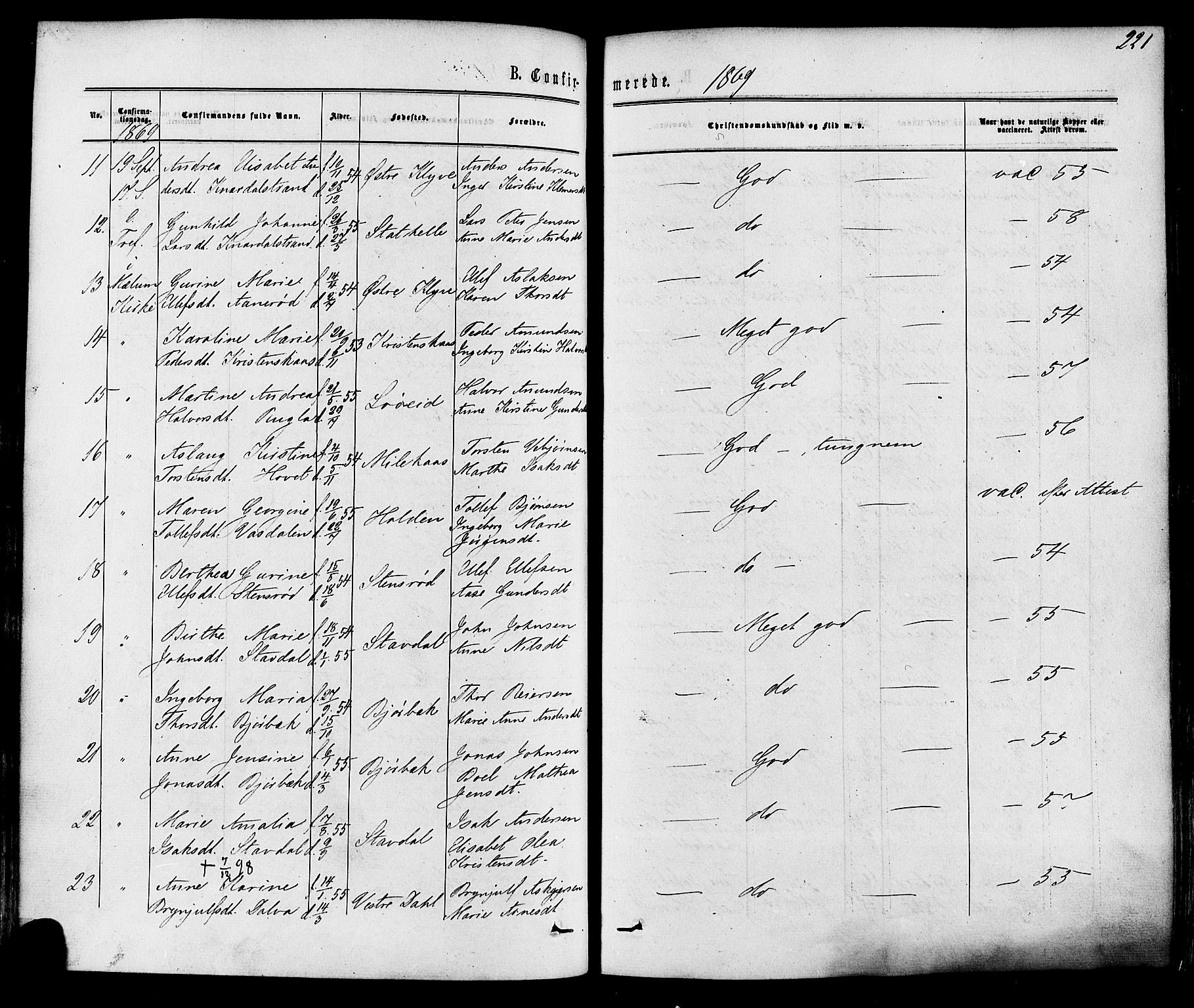 Solum kirkebøker, AV/SAKO-A-306/F/Fa/L0008: Parish register (official) no. I 8, 1865-1876, p. 221