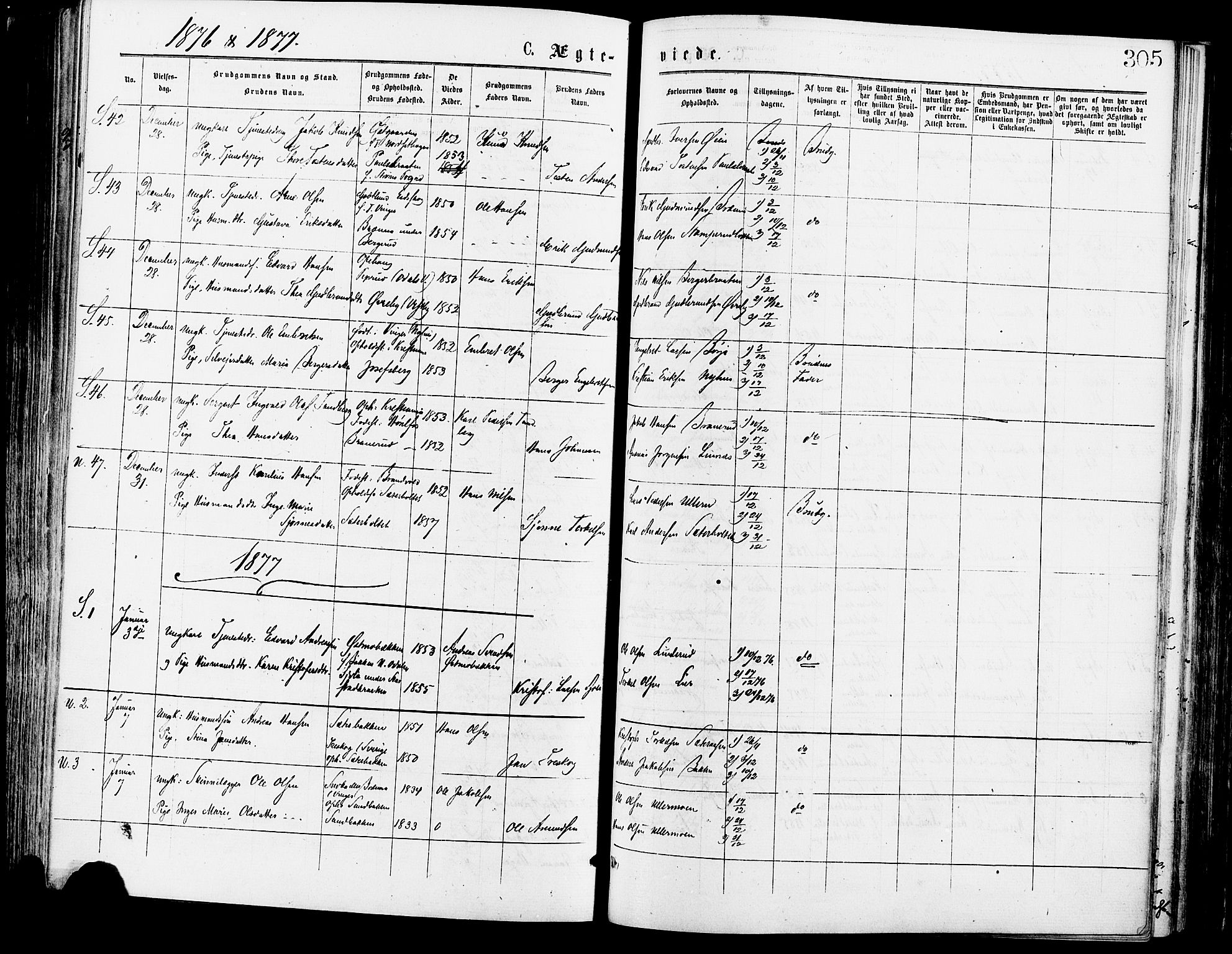 Sør-Odal prestekontor, AV/SAH-PREST-030/H/Ha/Haa/L0005: Parish register (official) no. 5, 1876-1885, p. 305