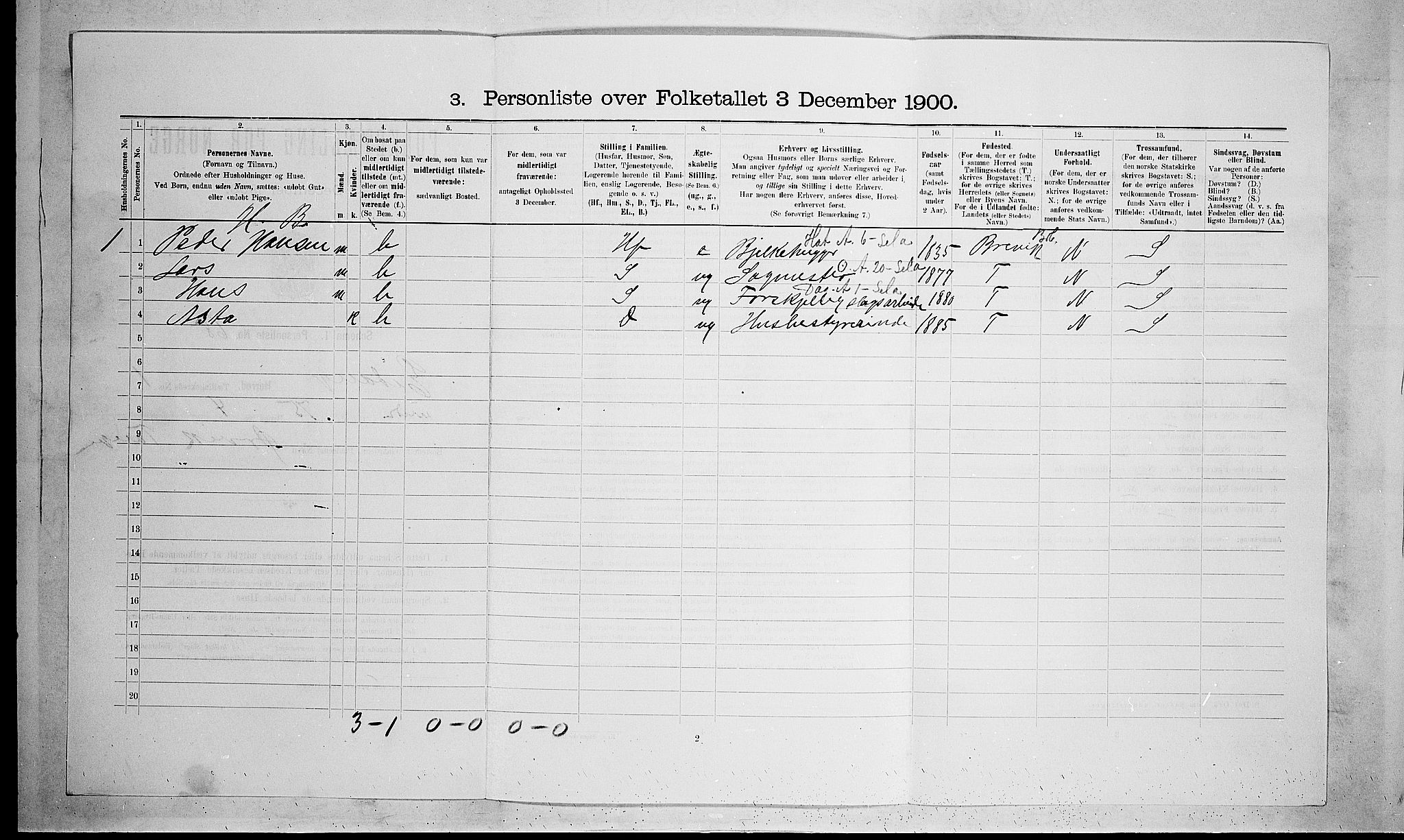 SAKO, 1900 census for Eidanger, 1900, p. 228