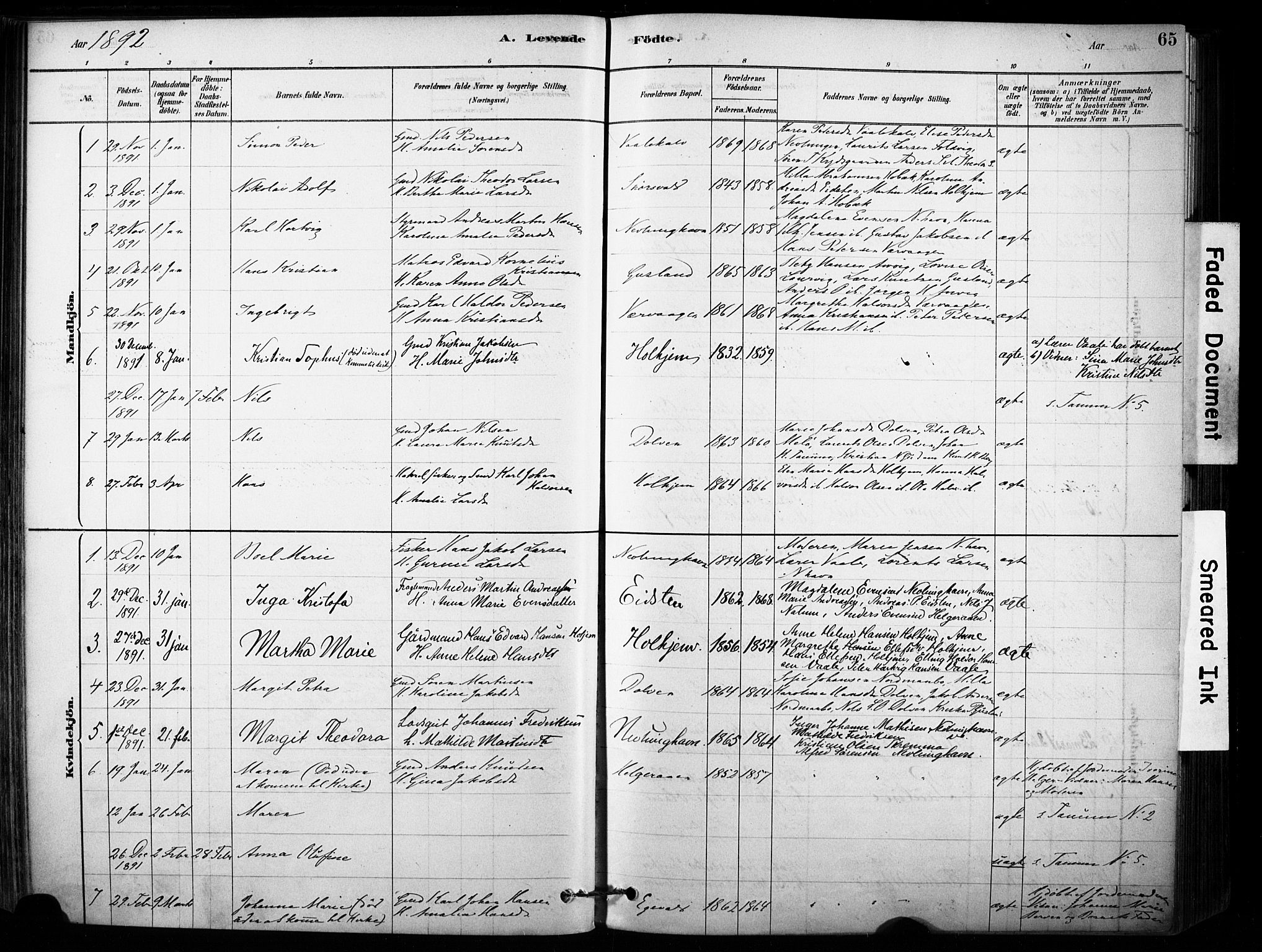 Brunlanes kirkebøker, AV/SAKO-A-342/F/Fb/L0001: Parish register (official) no. II 1, 1878-1899, p. 65