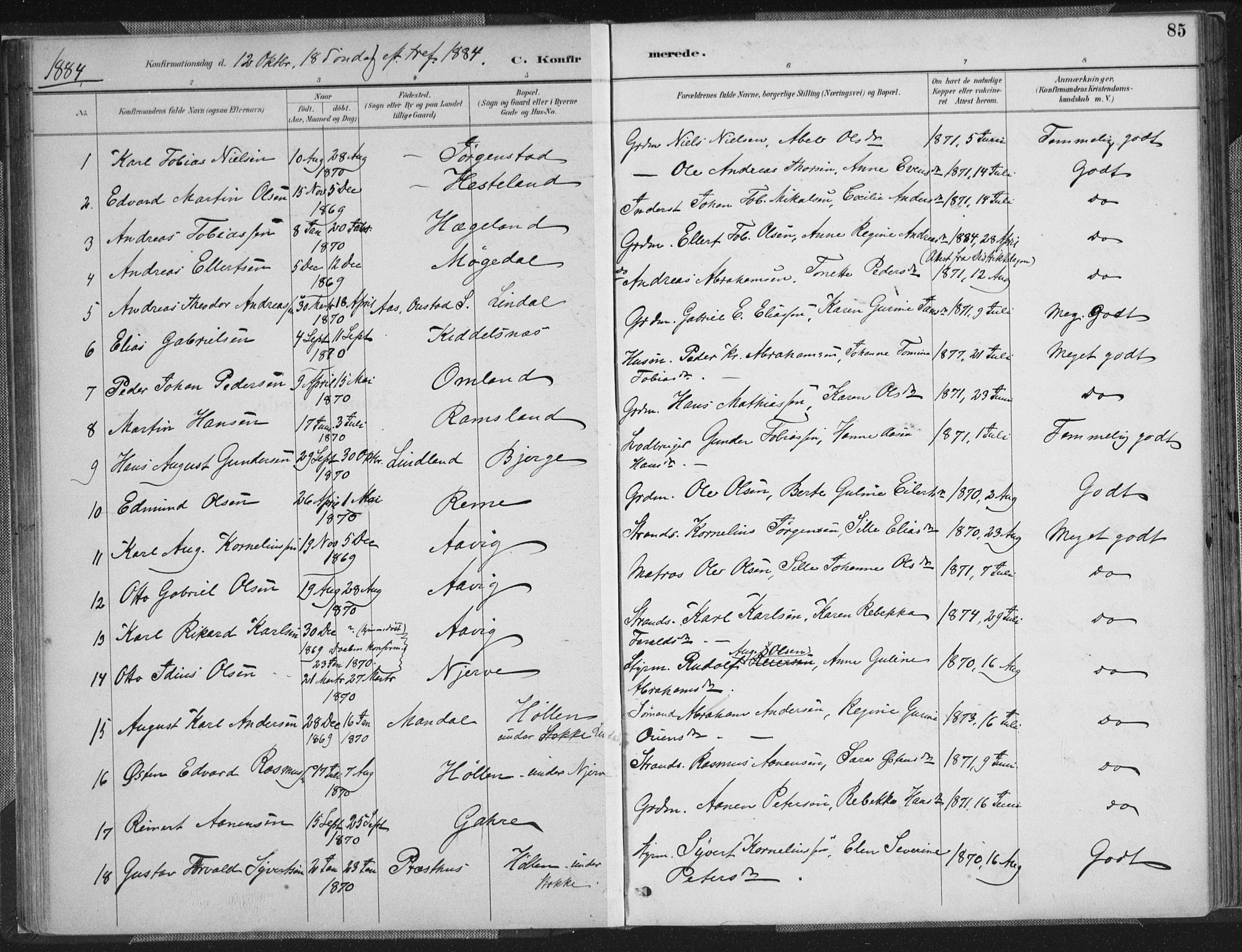 Sør-Audnedal sokneprestkontor, SAK/1111-0039/F/Fa/Faa/L0004: Parish register (official) no. A 4, 1884-1909, p. 85