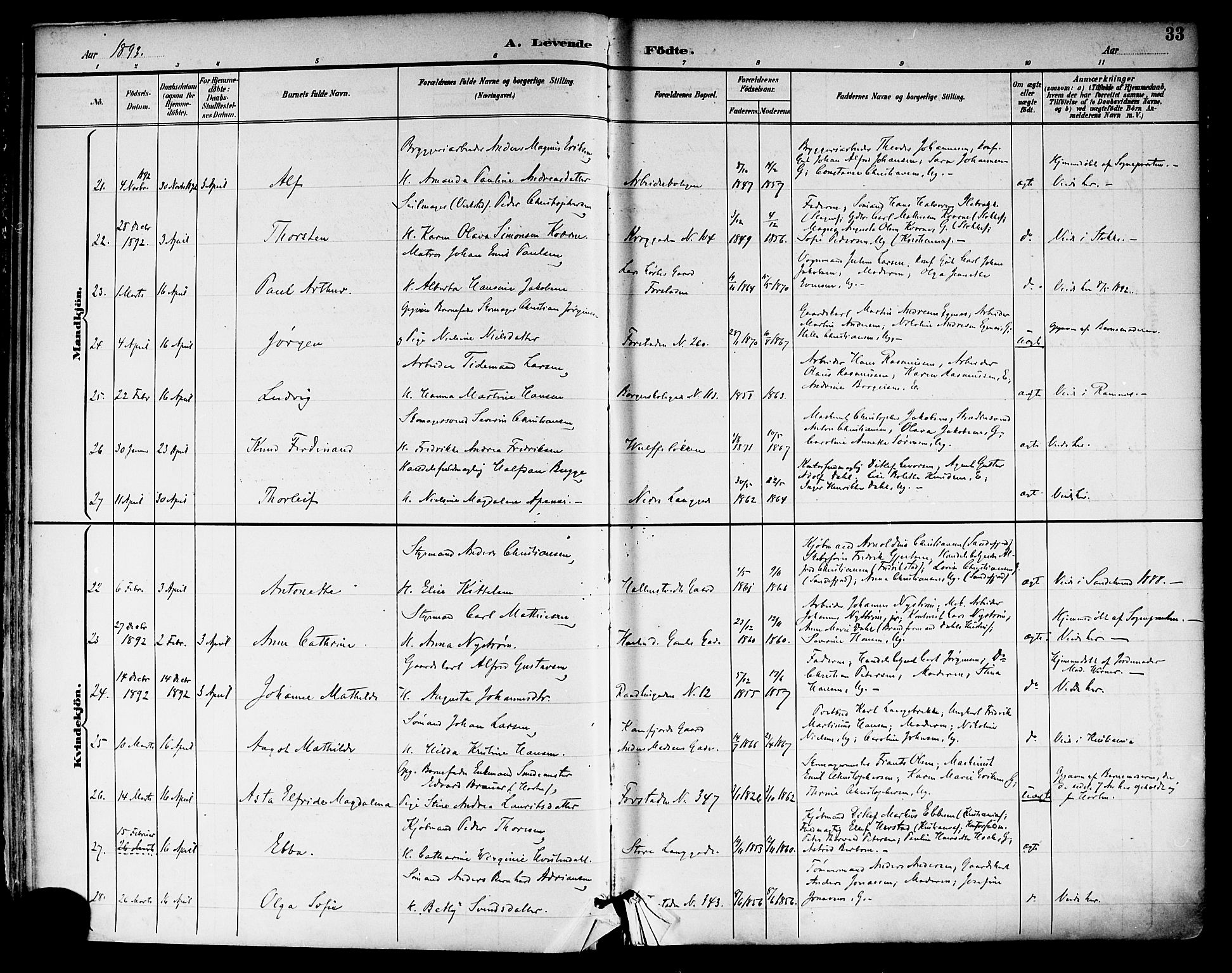 Tønsberg kirkebøker, SAKO/A-330/F/Fa/L0012: Parish register (official) no. I 12, 1891-1899, p. 33
