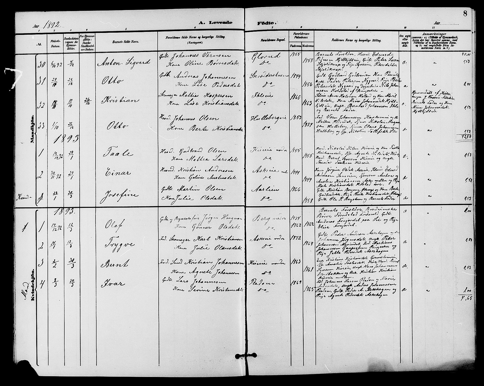 Nes prestekontor, Hedmark, AV/SAH-PREST-020/L/La/L0007: Parish register (copy) no. 7, 1892-1912, p. 8