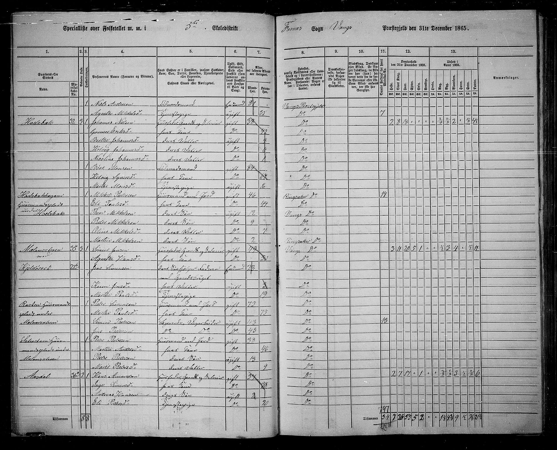 RA, 1865 census for Vang/Vang og Furnes, 1865, p. 44