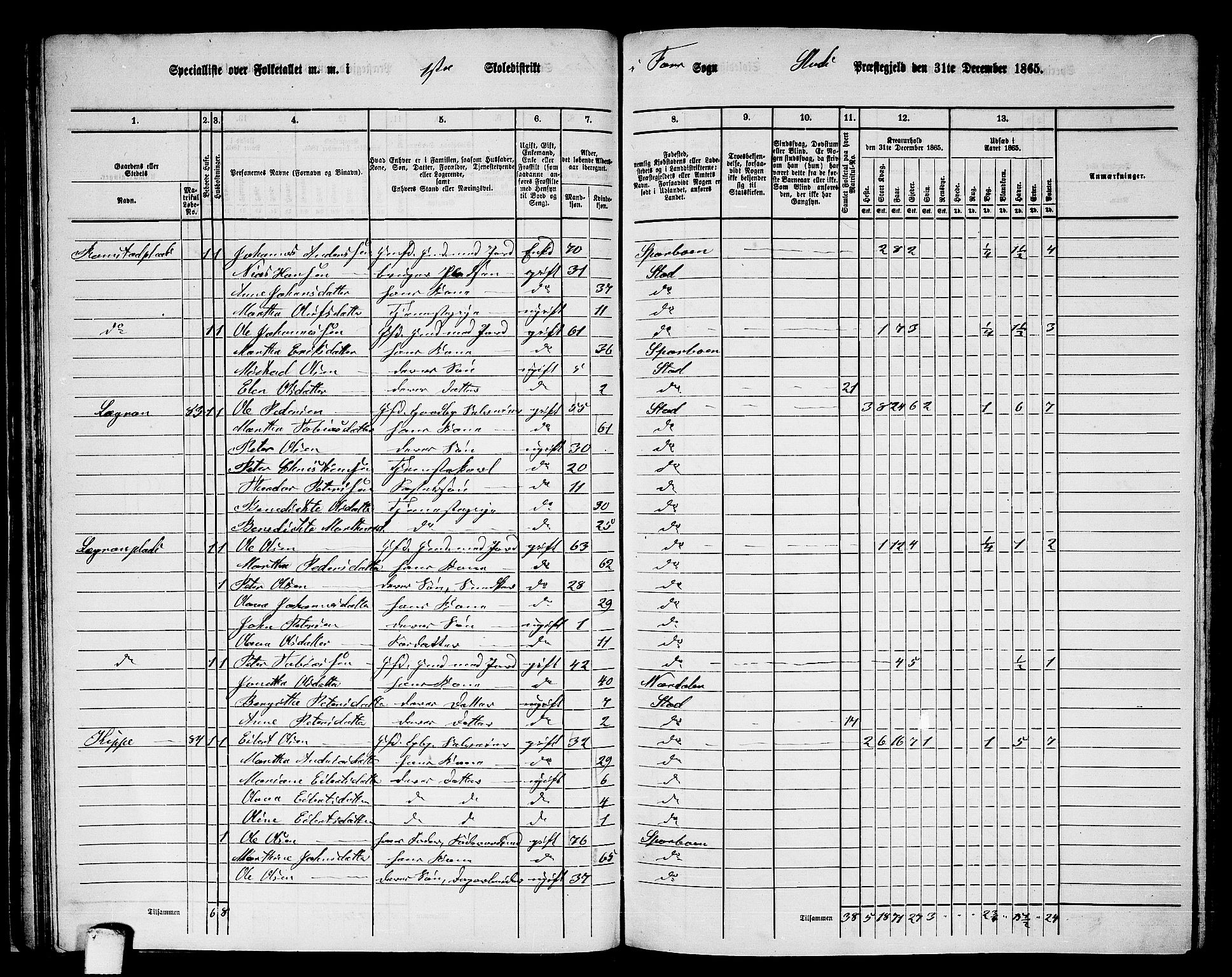 RA, 1865 census for Stod, 1865, p. 60