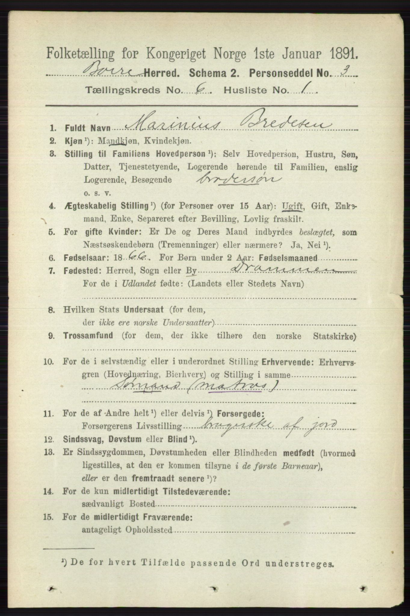 RA, 1891 census for 0717 Borre, 1891, p. 2643