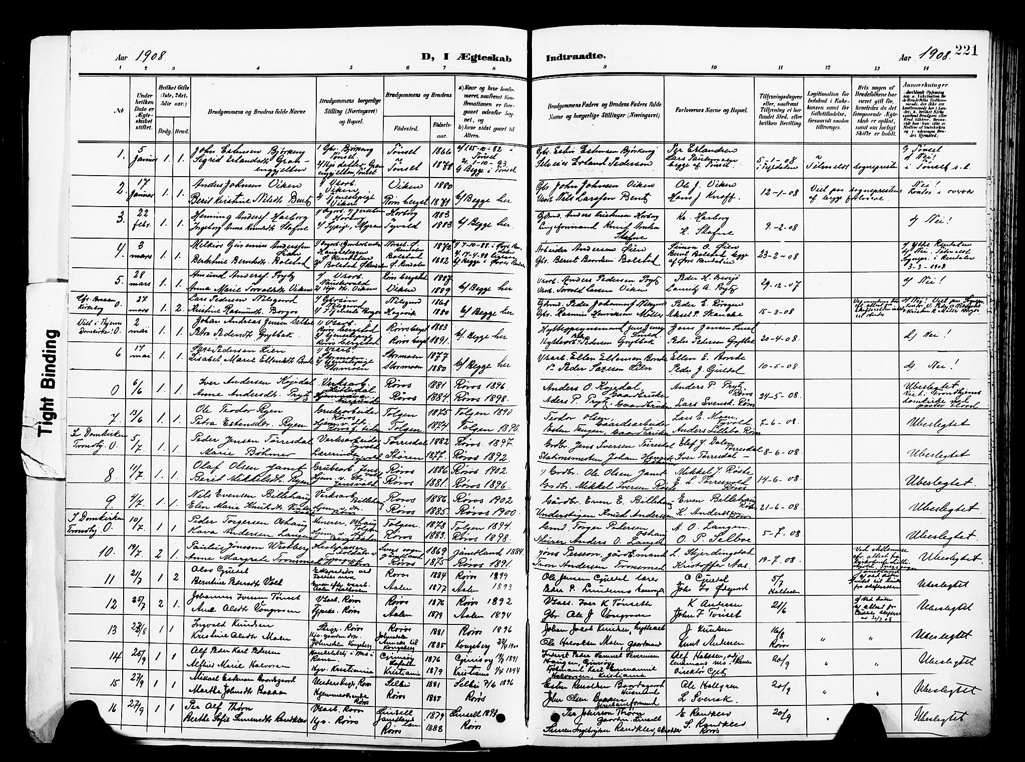 Ministerialprotokoller, klokkerbøker og fødselsregistre - Sør-Trøndelag, AV/SAT-A-1456/681/L0942: Parish register (copy) no. 681C06, 1906-1925, p. 221