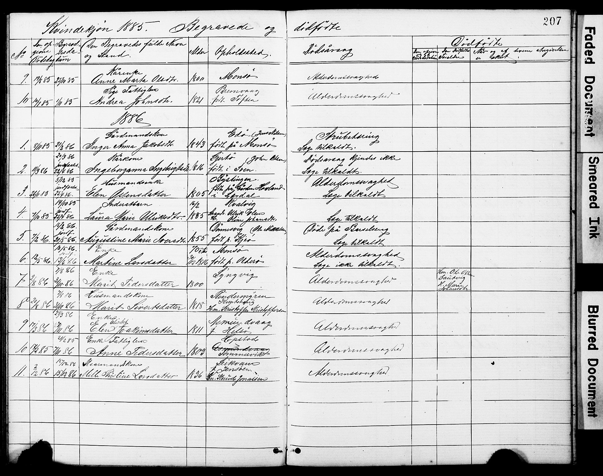 Ministerialprotokoller, klokkerbøker og fødselsregistre - Sør-Trøndelag, SAT/A-1456/634/L0541: Parish register (copy) no. 634C03, 1874-1891, p. 207