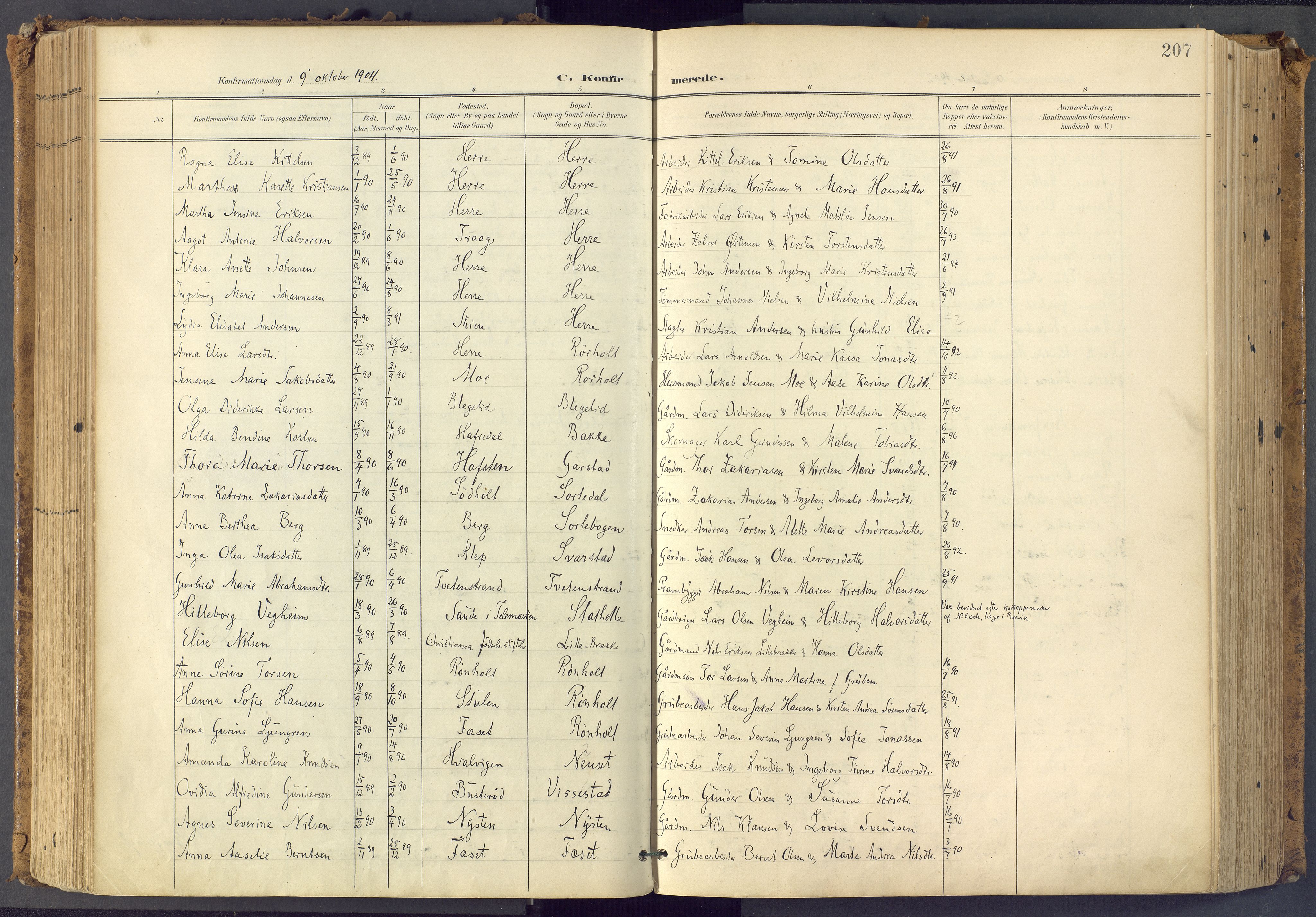 Bamble kirkebøker, SAKO/A-253/F/Fa/L0009: Parish register (official) no. I 9, 1901-1917, p. 207