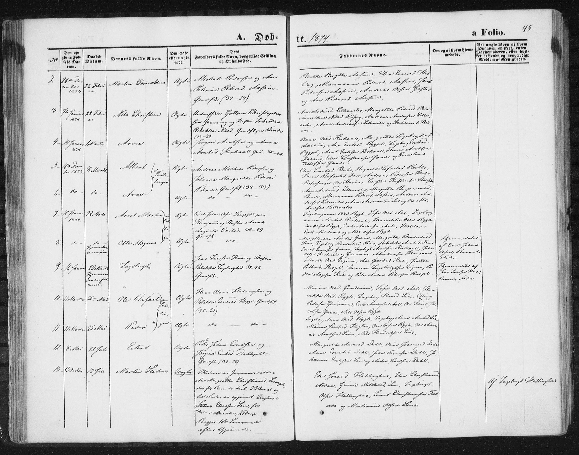 Ministerialprotokoller, klokkerbøker og fødselsregistre - Nord-Trøndelag, SAT/A-1458/746/L0447: Parish register (official) no. 746A06, 1860-1877, p. 45