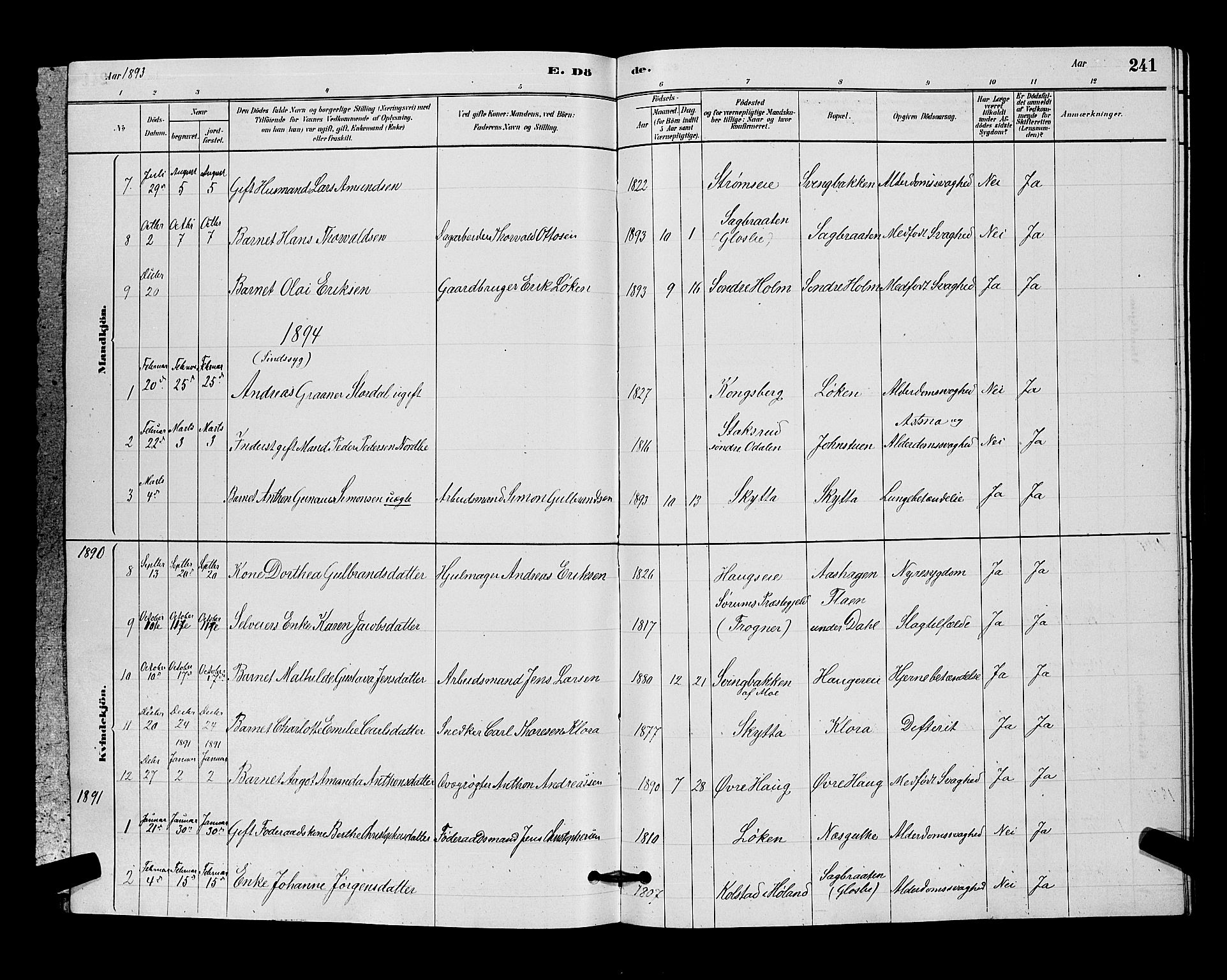Nittedal prestekontor Kirkebøker, SAO/A-10365a/G/Ga/L0002: Parish register (copy) no. I 2, 1879-1901, p. 241