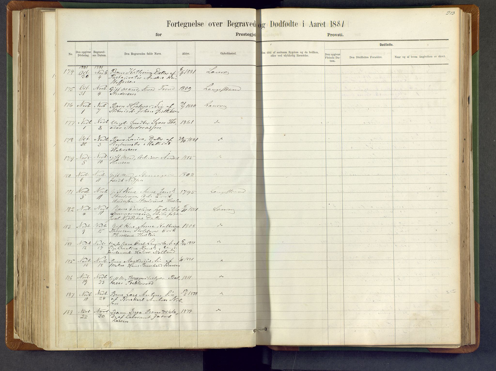 Larvik kirkebøker, SAKO/A-352/F/Fa/L0007: Parish register (official) no. I 7, 1871-1883, p. 213