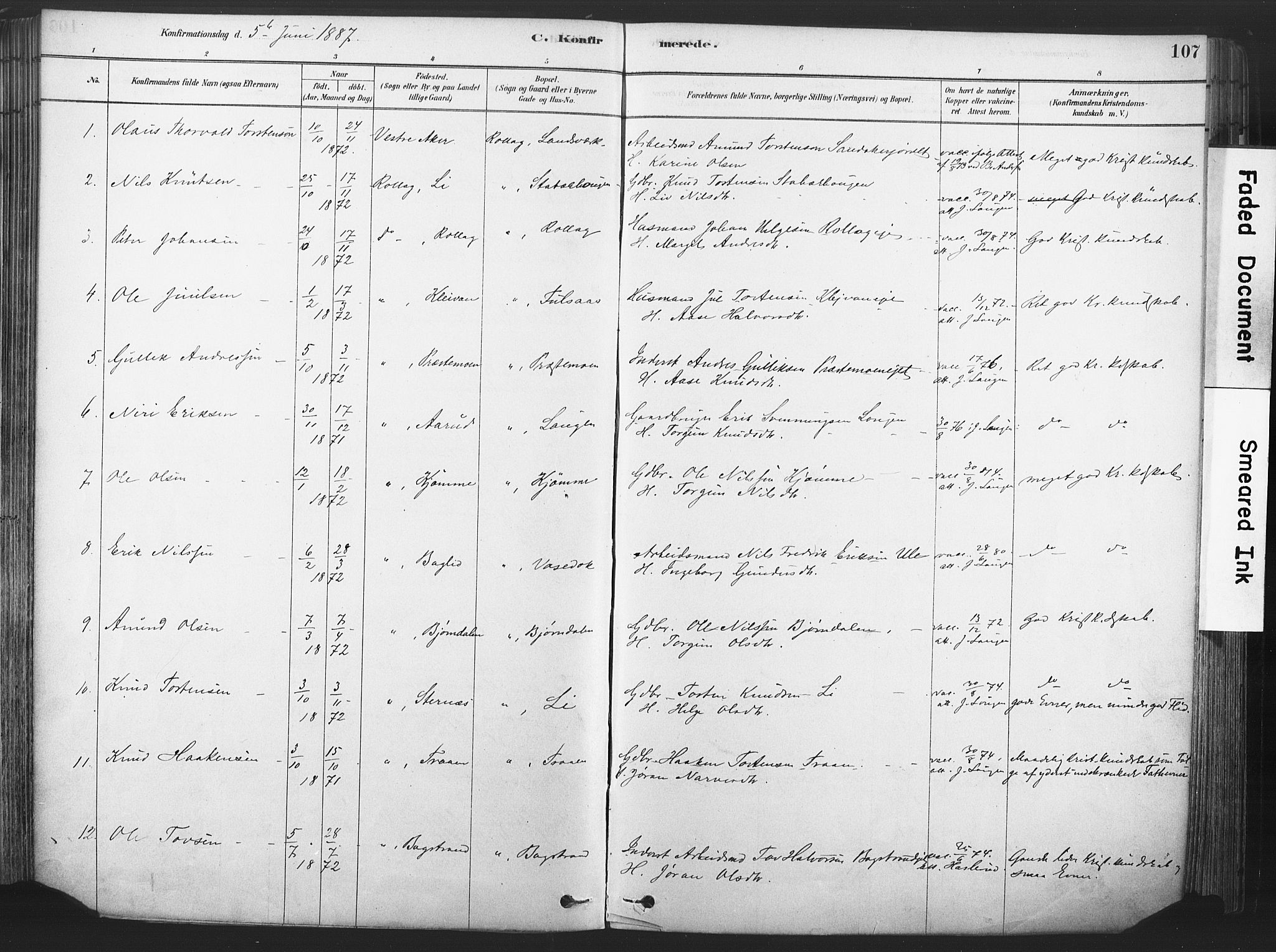 Rollag kirkebøker, SAKO/A-240/F/Fa/L0011: Parish register (official) no. I 11, 1878-1902, p. 107