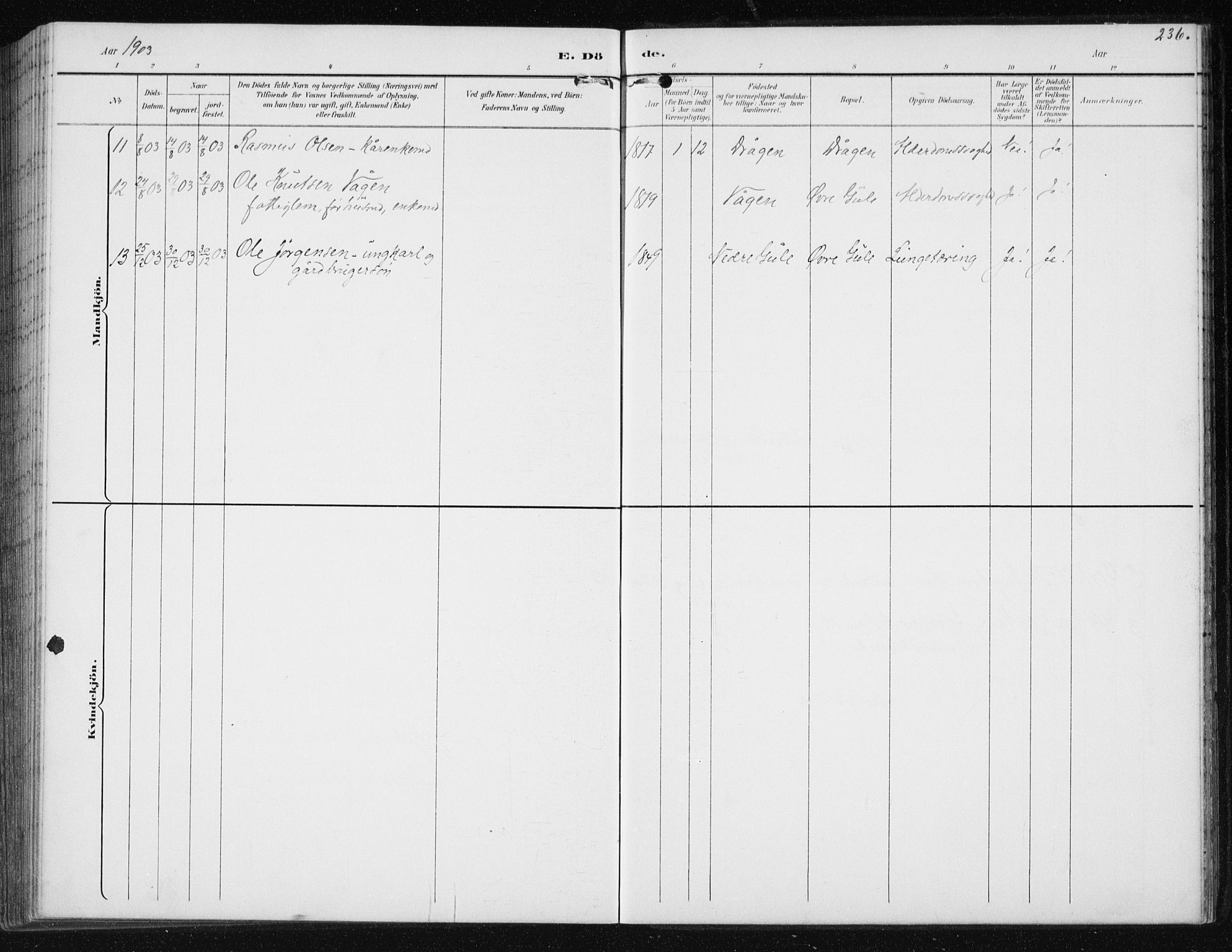 Ministerialprotokoller, klokkerbøker og fødselsregistre - Møre og Romsdal, AV/SAT-A-1454/566/L0773: Parish register (copy) no. 566C02, 1892-1909, p. 236