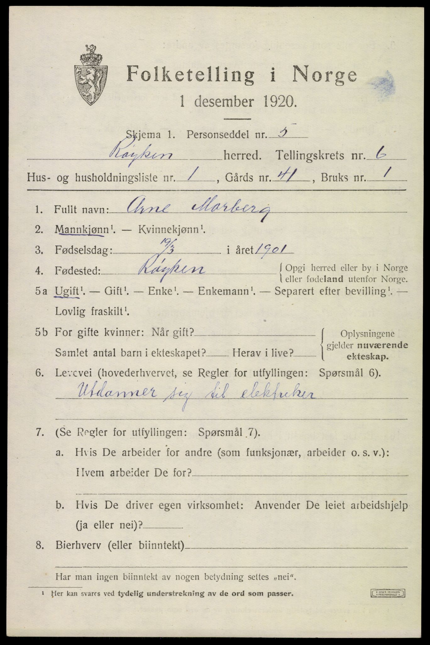SAKO, 1920 census for Røyken, 1920, p. 9724