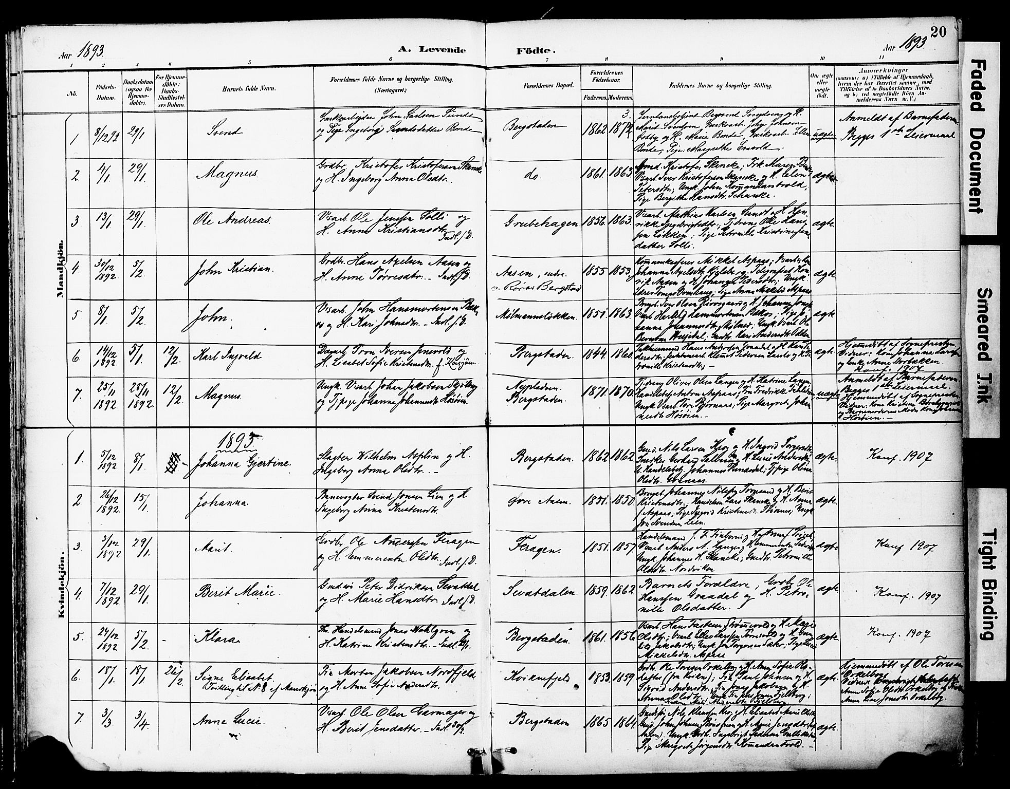 Ministerialprotokoller, klokkerbøker og fødselsregistre - Sør-Trøndelag, SAT/A-1456/681/L0935: Parish register (official) no. 681A13, 1890-1898, p. 20