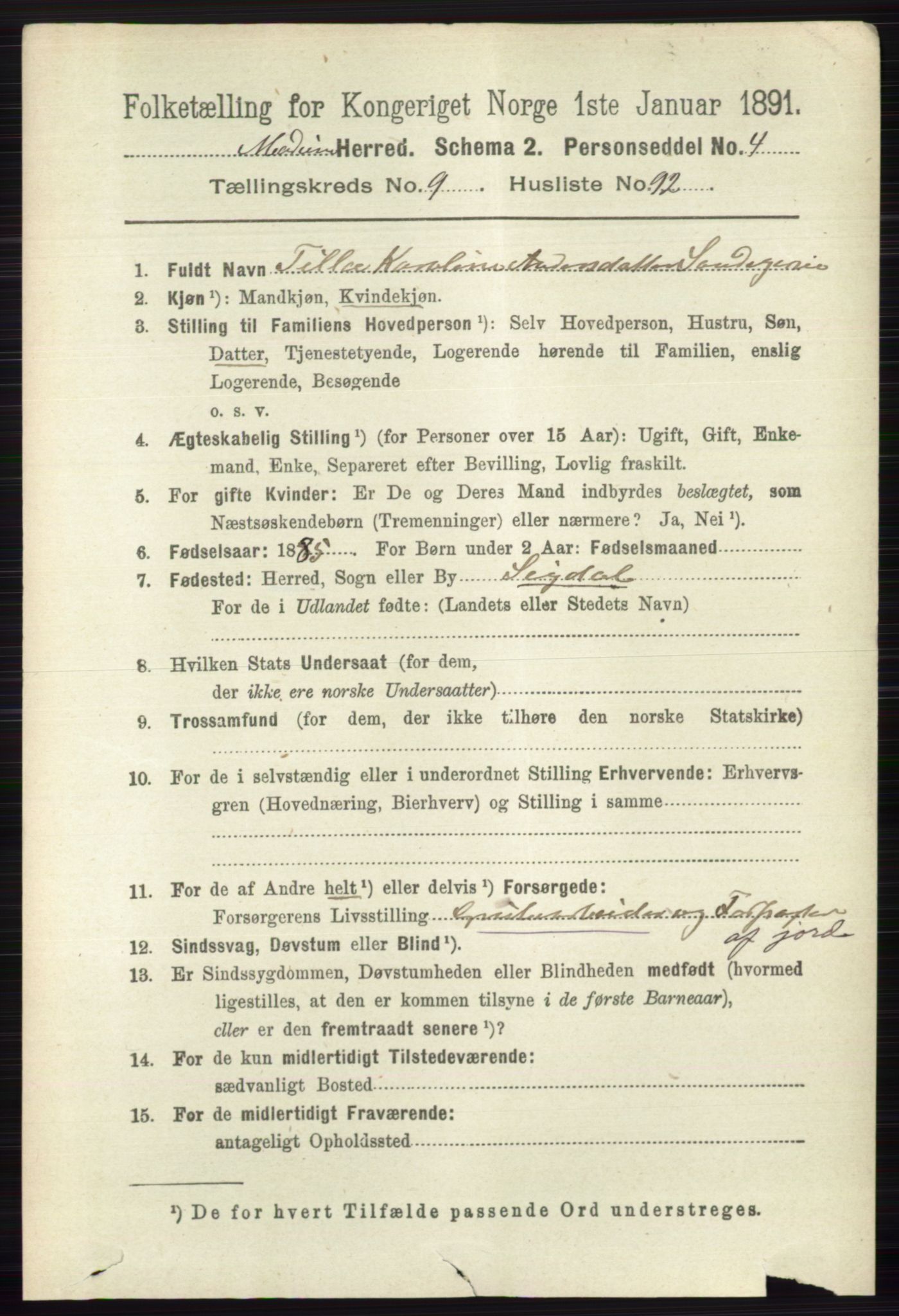 RA, 1891 census for 0623 Modum, 1891, p. 3943