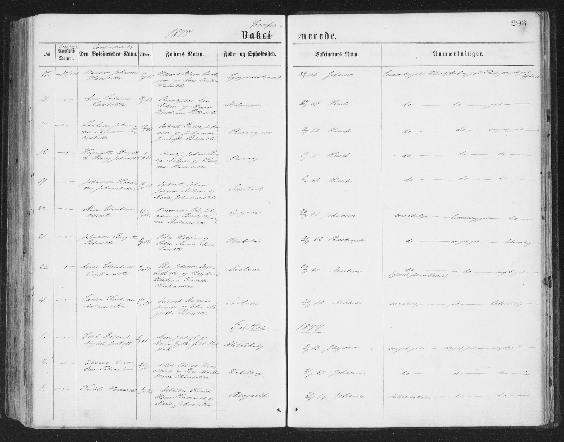 Ministerialprotokoller, klokkerbøker og fødselsregistre - Nordland, AV/SAT-A-1459/874/L1057: Parish register (official) no. 874A01, 1866-1877, p. 293