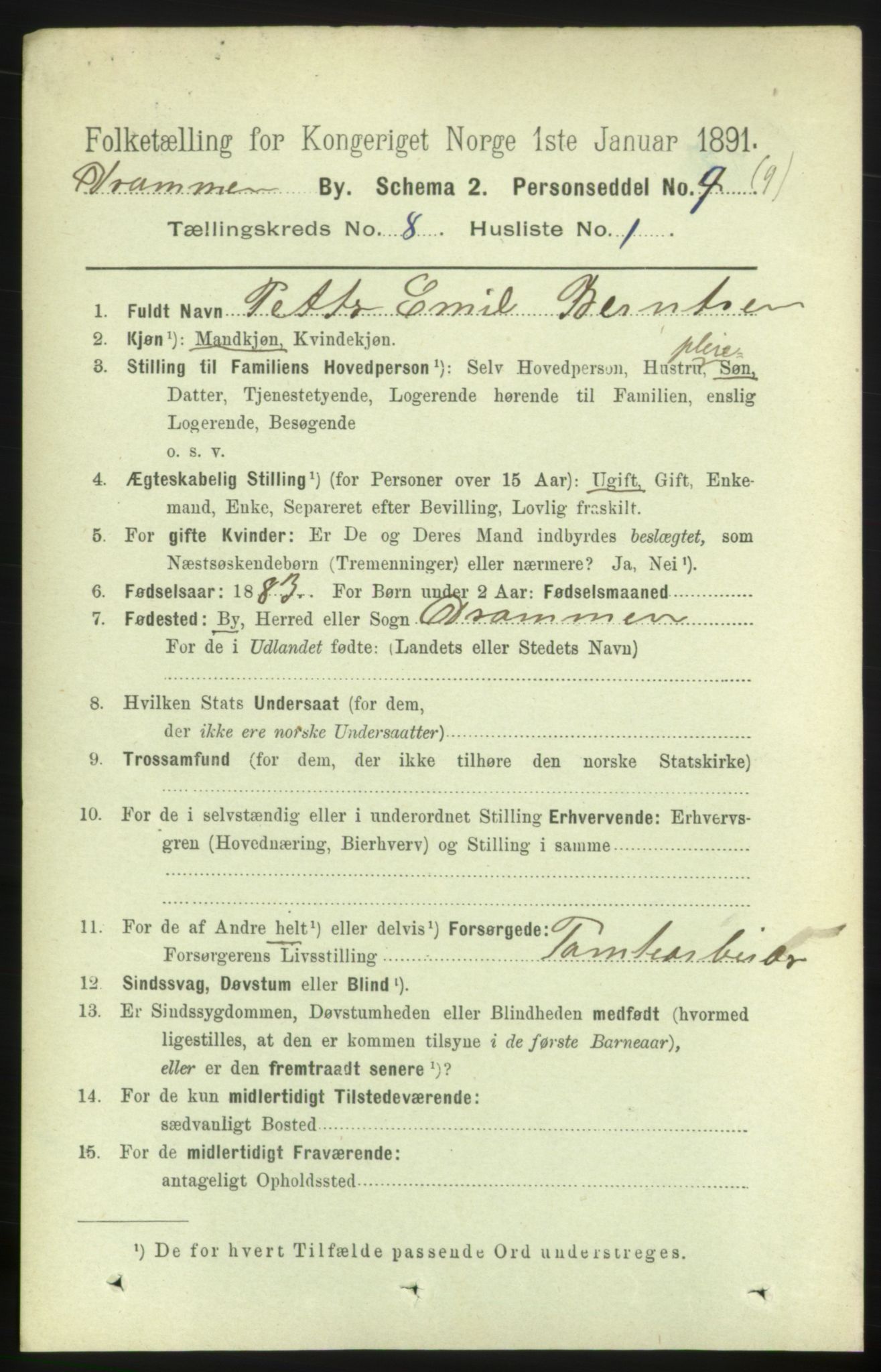 RA, 1891 census for 0602 Drammen, 1891, p. 6781