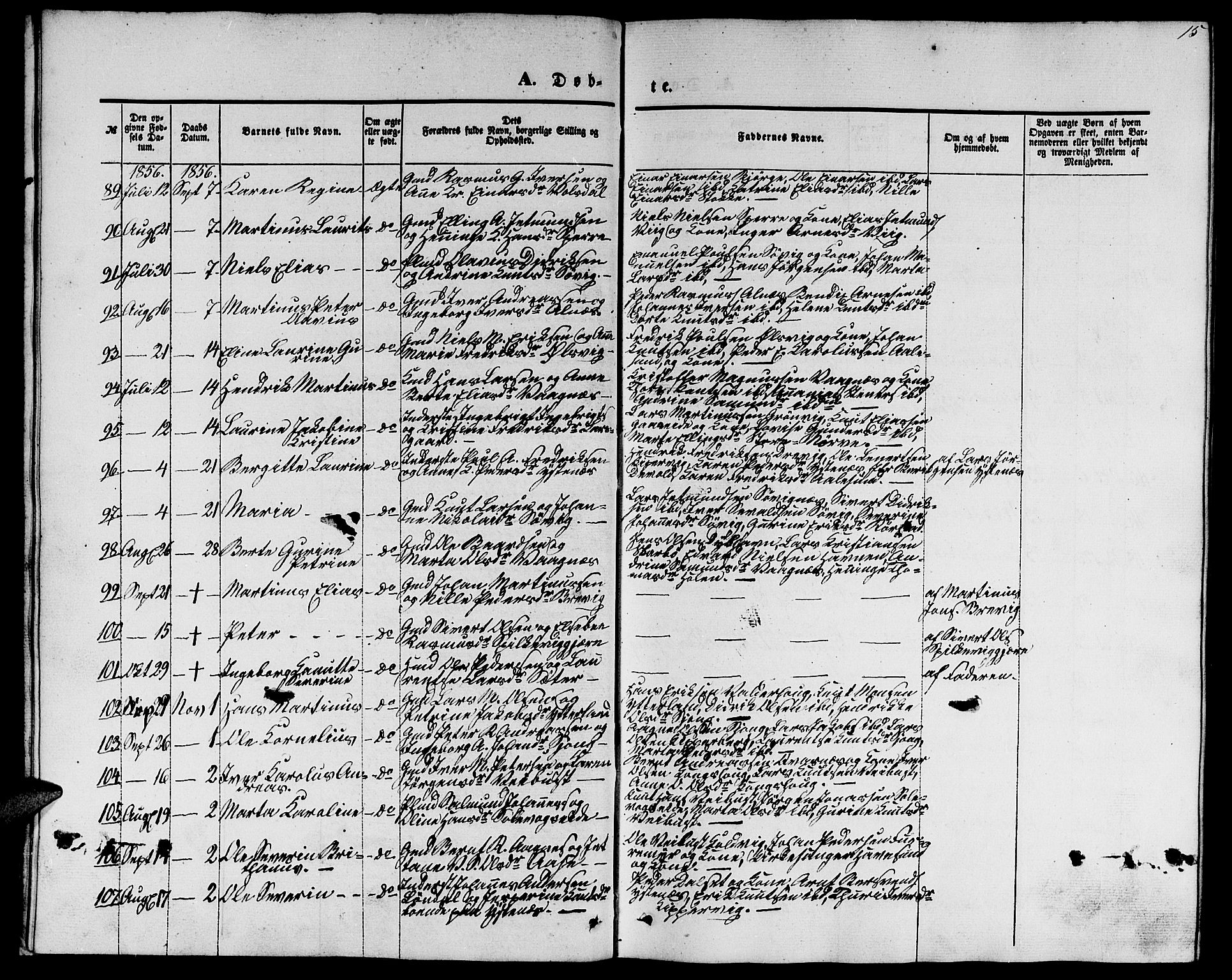 Ministerialprotokoller, klokkerbøker og fødselsregistre - Møre og Romsdal, AV/SAT-A-1454/528/L0427: Parish register (copy) no. 528C08, 1855-1864, p. 15