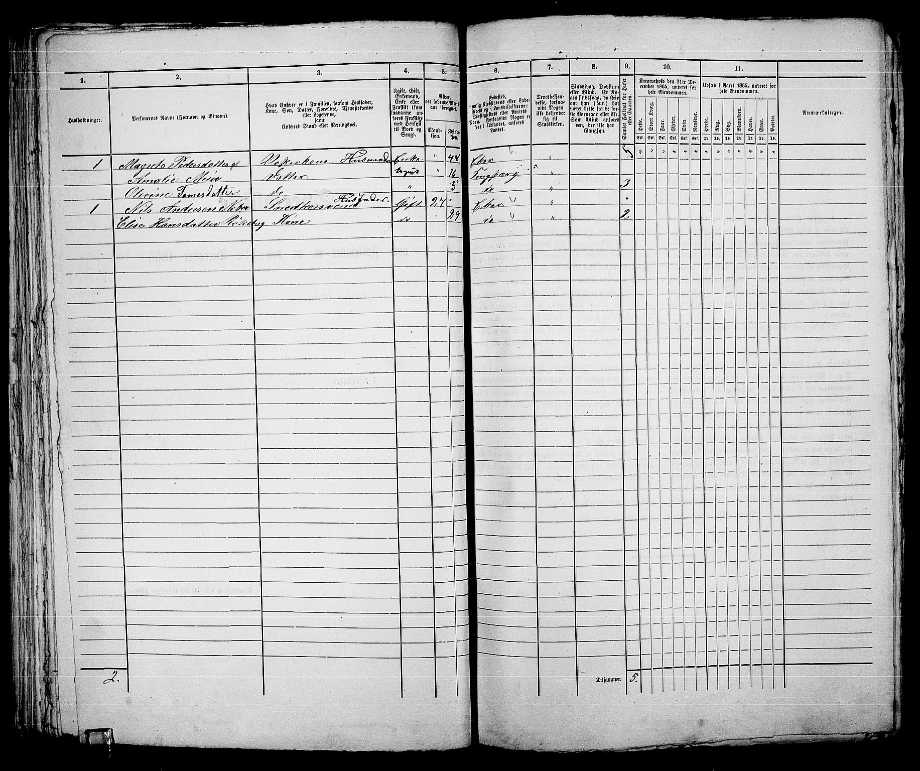 RA, 1865 census for Kongsberg/Kongsberg, 1865, p. 650