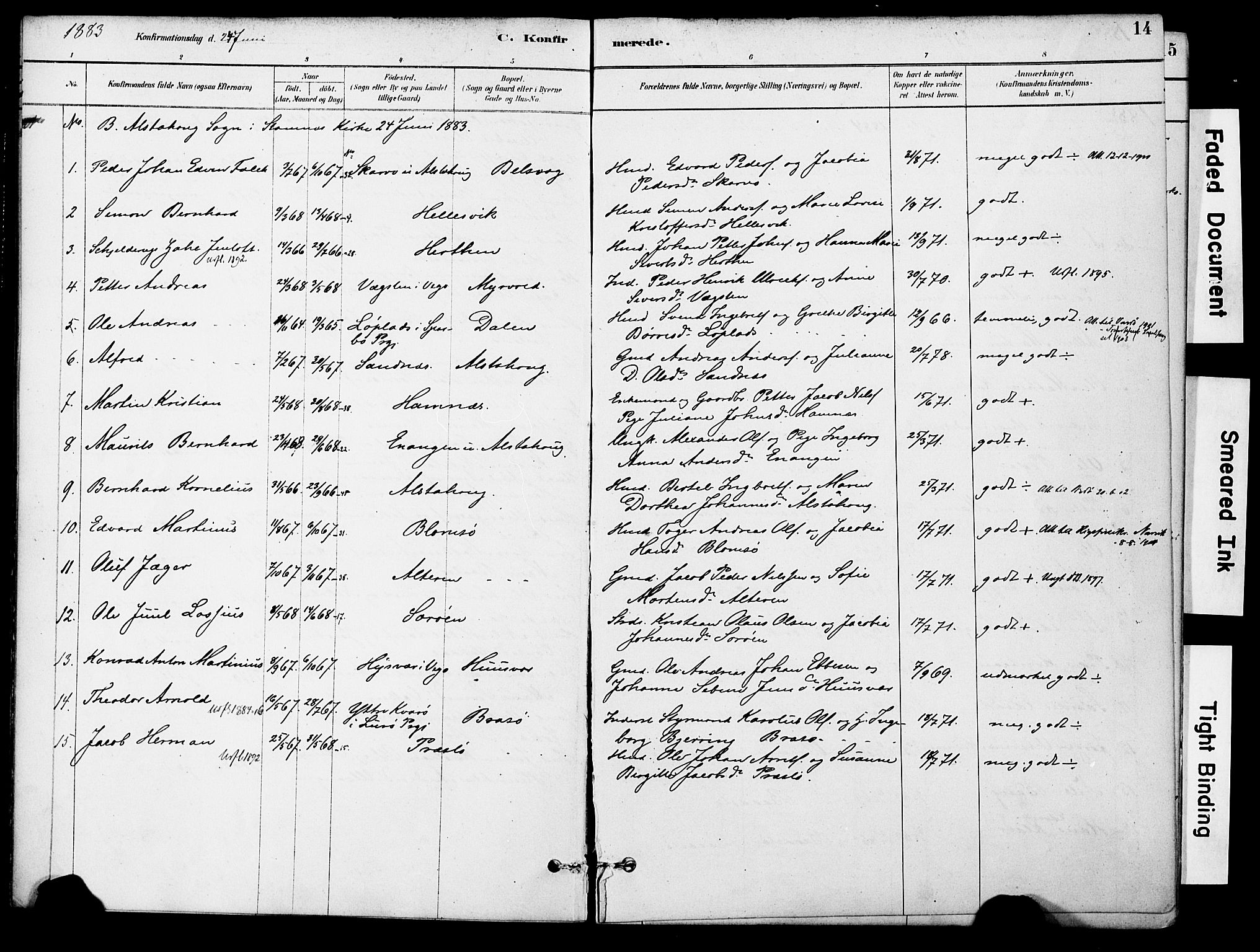 Ministerialprotokoller, klokkerbøker og fødselsregistre - Nordland, AV/SAT-A-1459/830/L0450: Parish register (official) no. 830A14, 1879-1896, p. 14