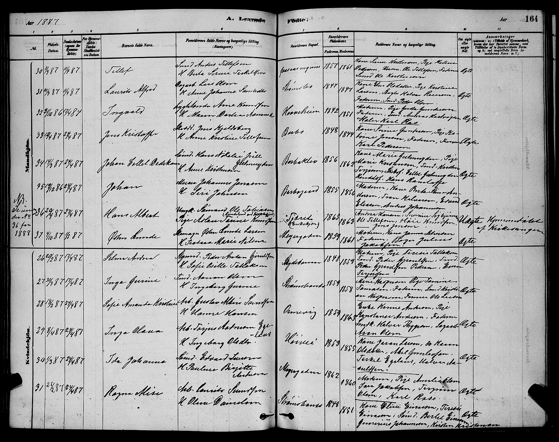 Barbu sokneprestkontor, AV/SAK-1111-0003/F/Fb/L0001: Parish register (copy) no. B 1, 1878-1890, p. 164