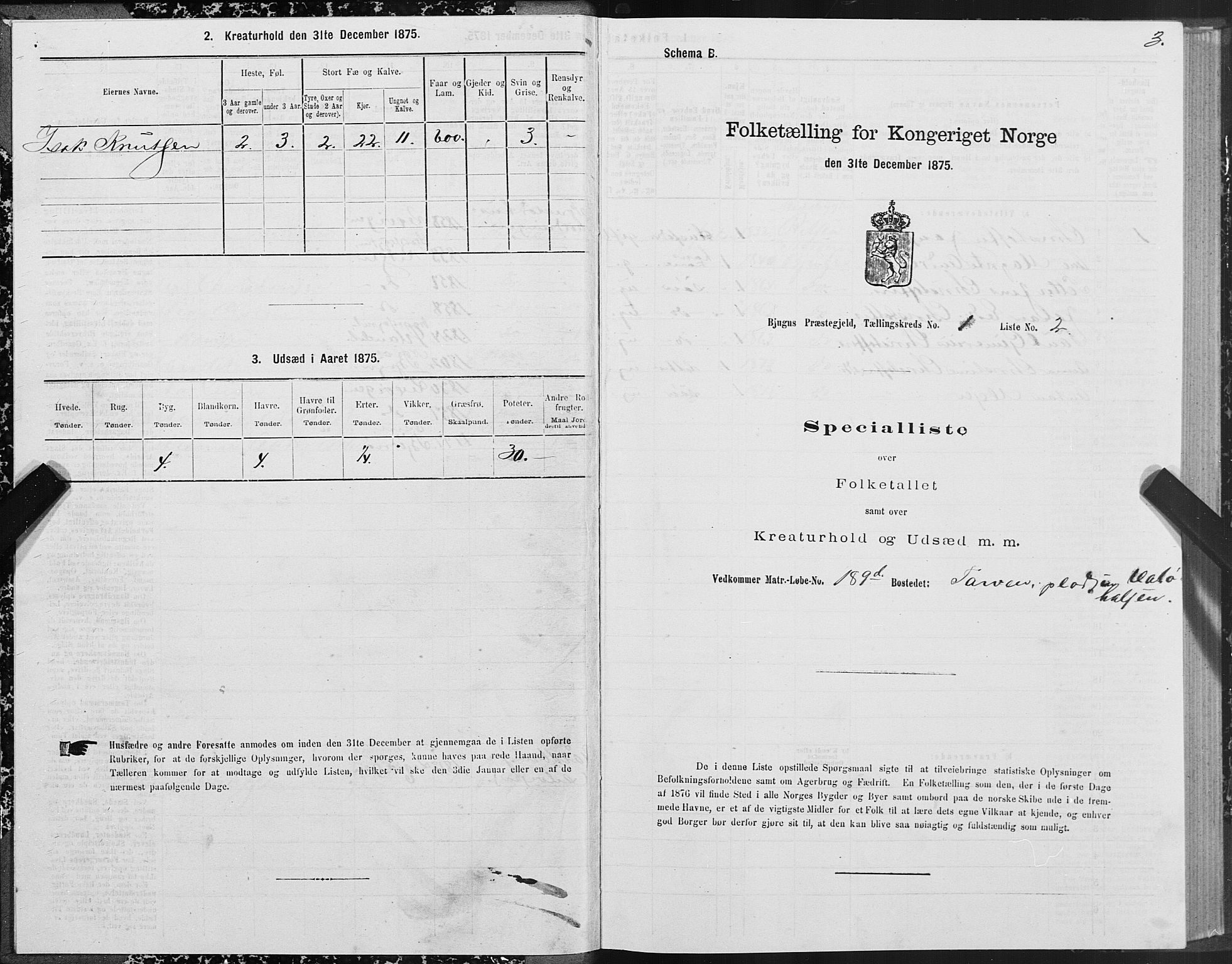 SAT, 1875 census for 1627P Bjugn, 1875, p. 1003