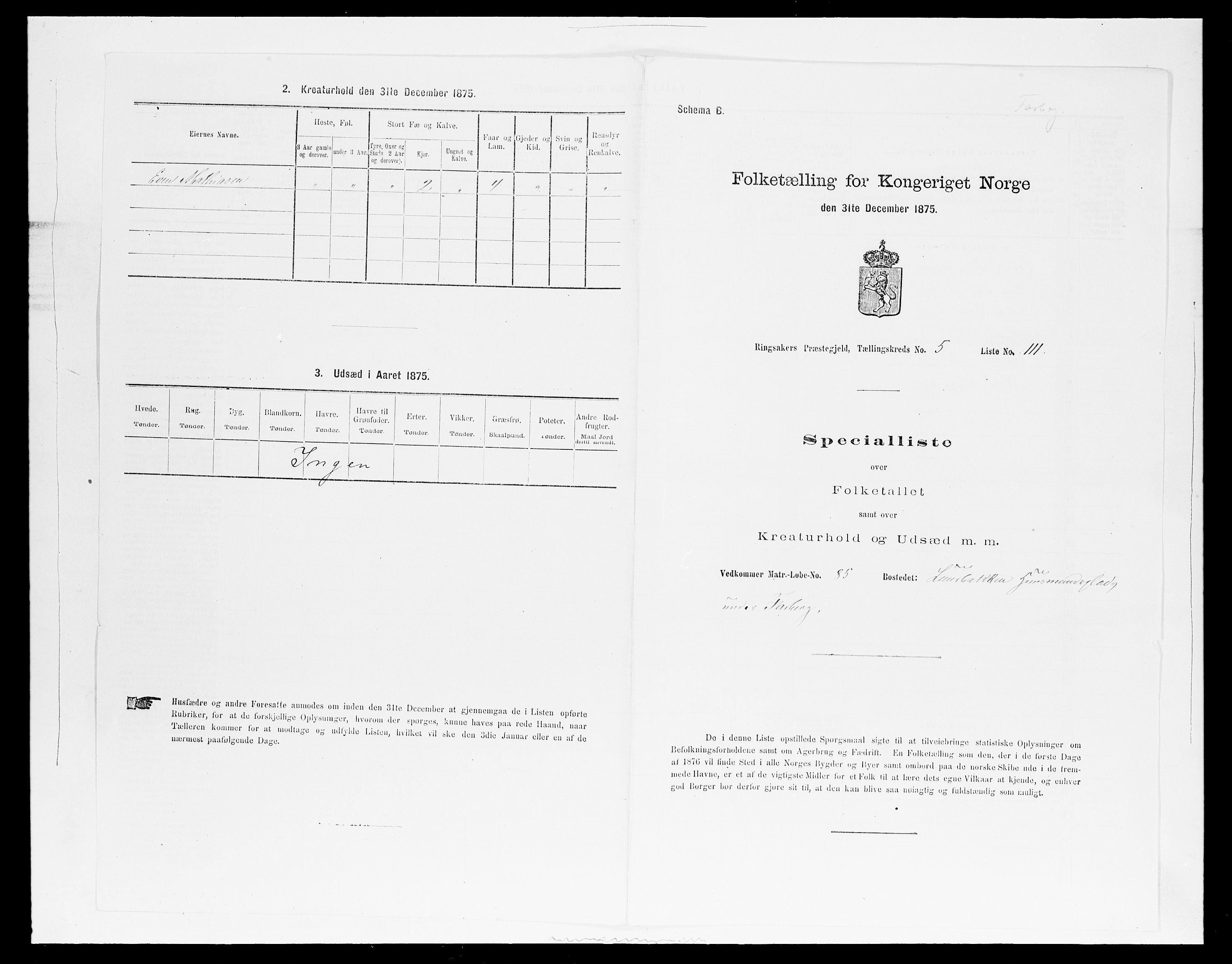 SAH, 1875 census for 0412P Ringsaker, 1875, p. 1151