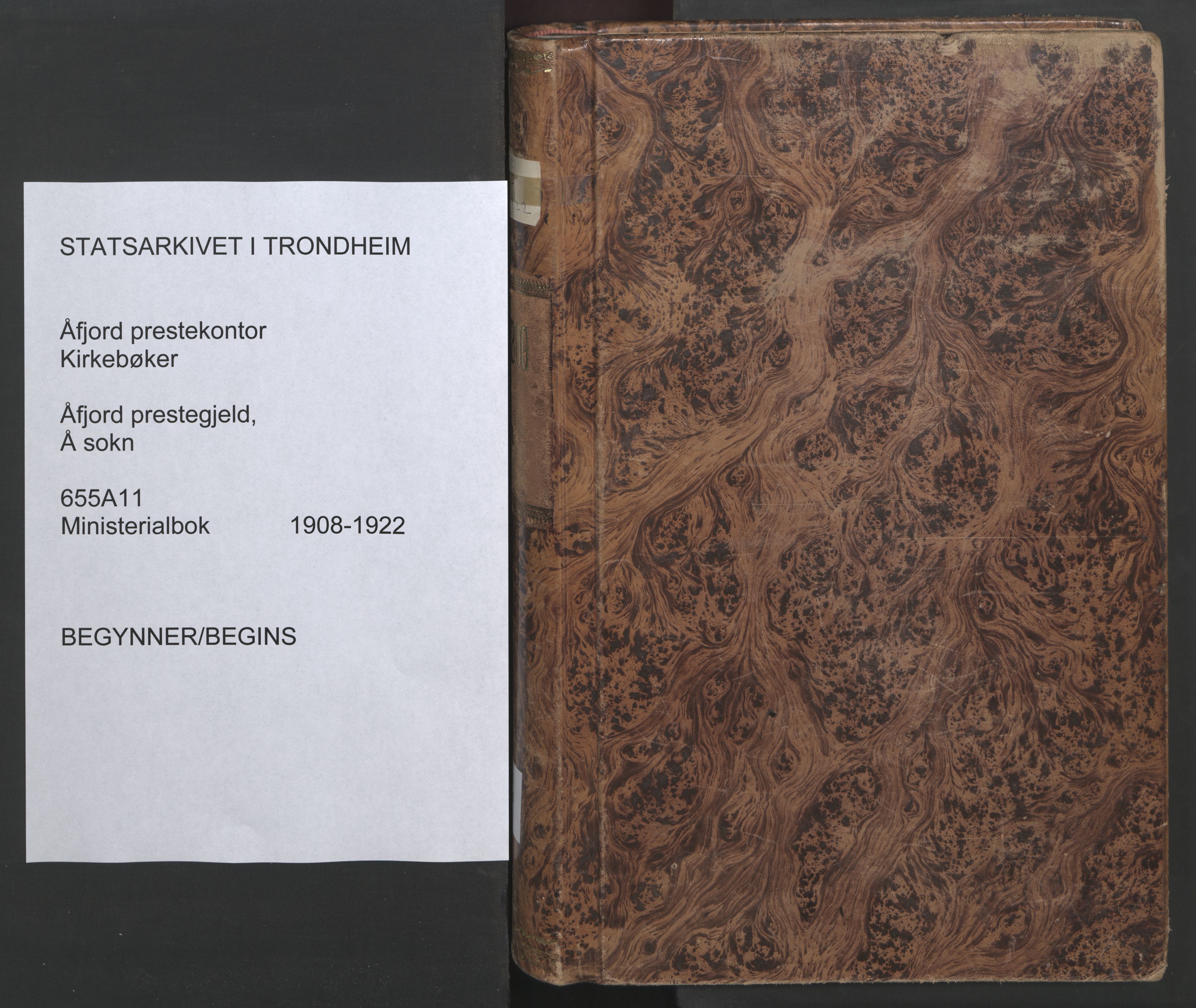 Ministerialprotokoller, klokkerbøker og fødselsregistre - Sør-Trøndelag, SAT/A-1456/655/L0682: Parish register (official) no. 655A11, 1908-1922