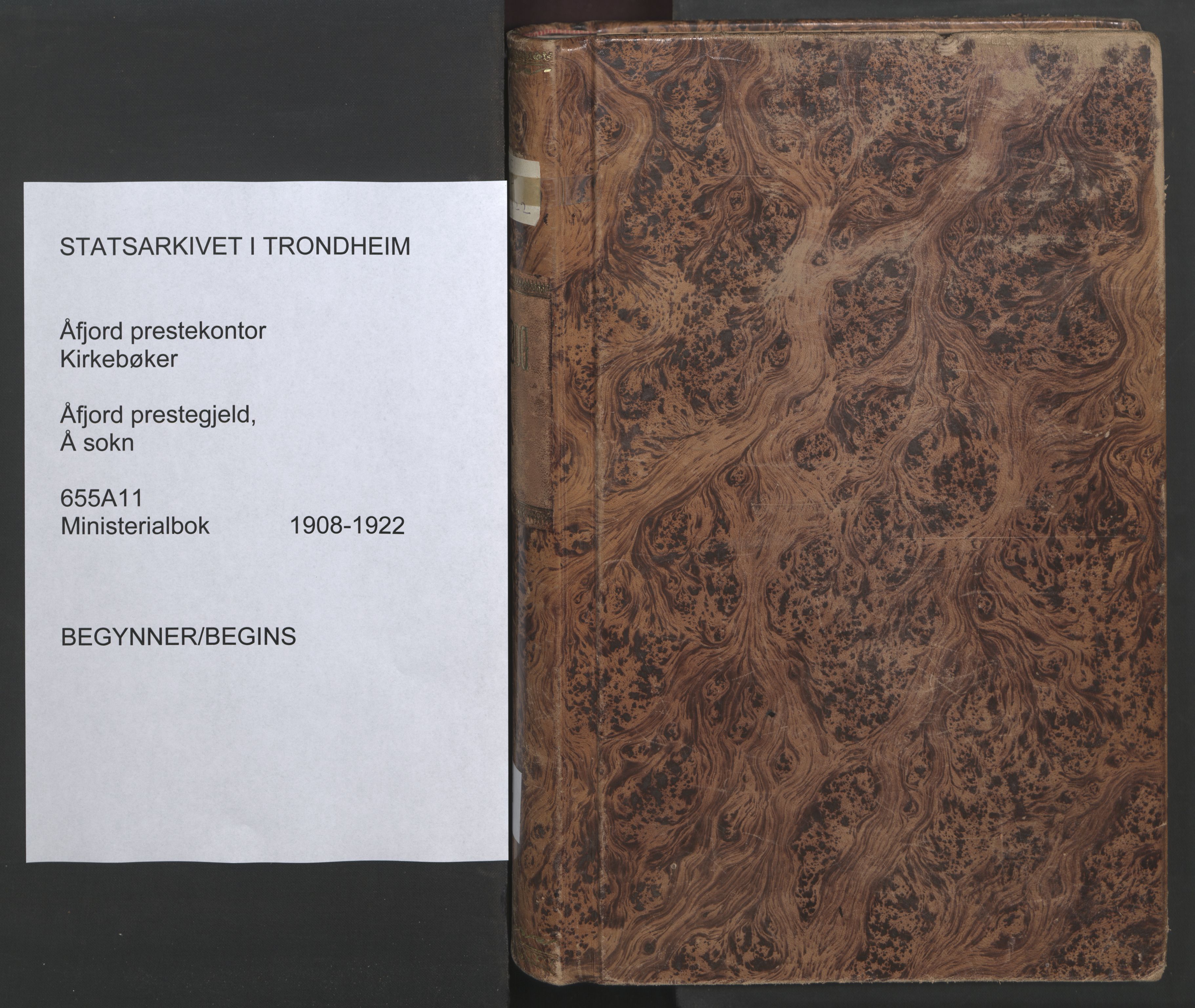 Ministerialprotokoller, klokkerbøker og fødselsregistre - Sør-Trøndelag, AV/SAT-A-1456/655/L0682: Parish register (official) no. 655A11, 1908-1922