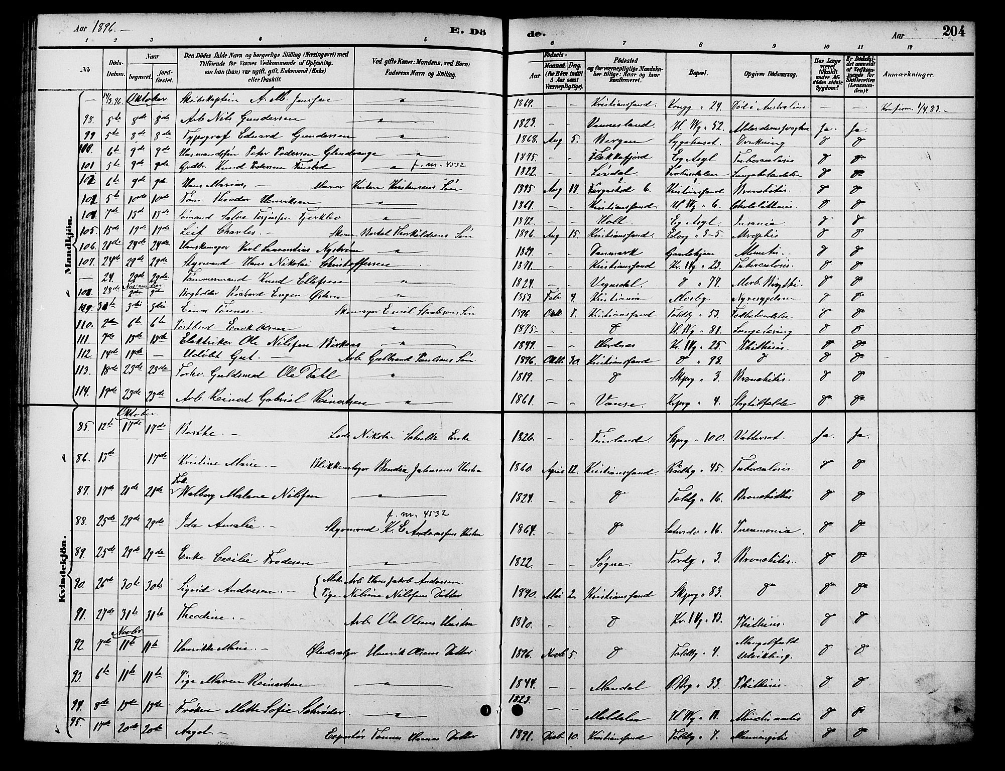 Kristiansand domprosti, SAK/1112-0006/F/Fb/L0017: Parish register (copy) no. B 17, 1893-1906, p. 204