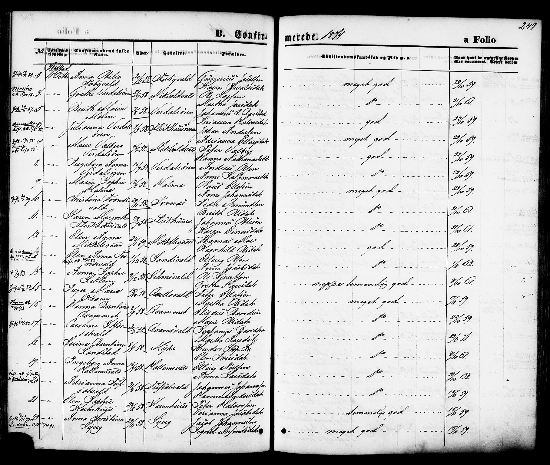 Ministerialprotokoller, klokkerbøker og fødselsregistre - Nord-Trøndelag, AV/SAT-A-1458/723/L0242: Parish register (official) no. 723A11, 1870-1880, p. 249