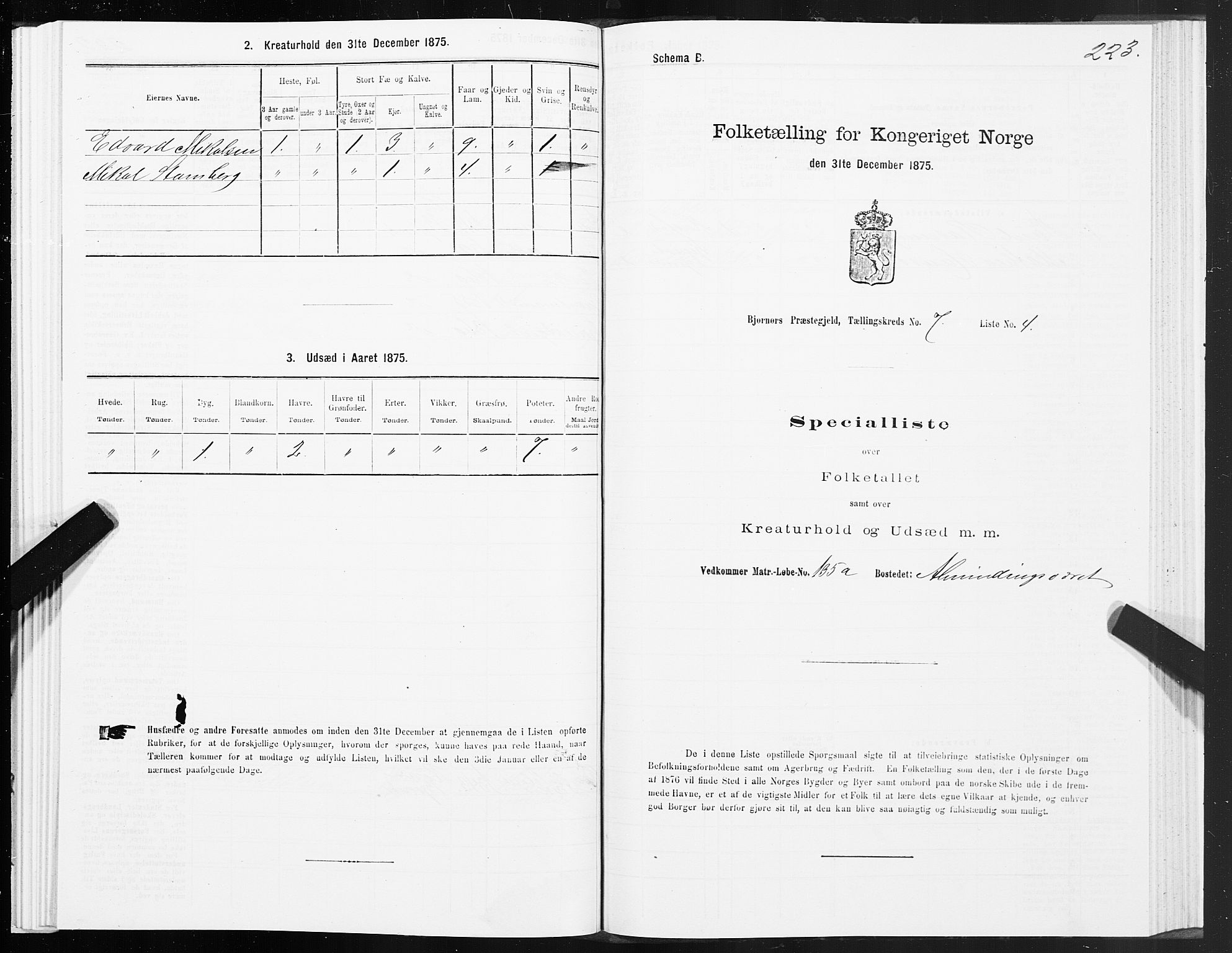 SAT, 1875 census for 1632P Bjørnør, 1875, p. 3223