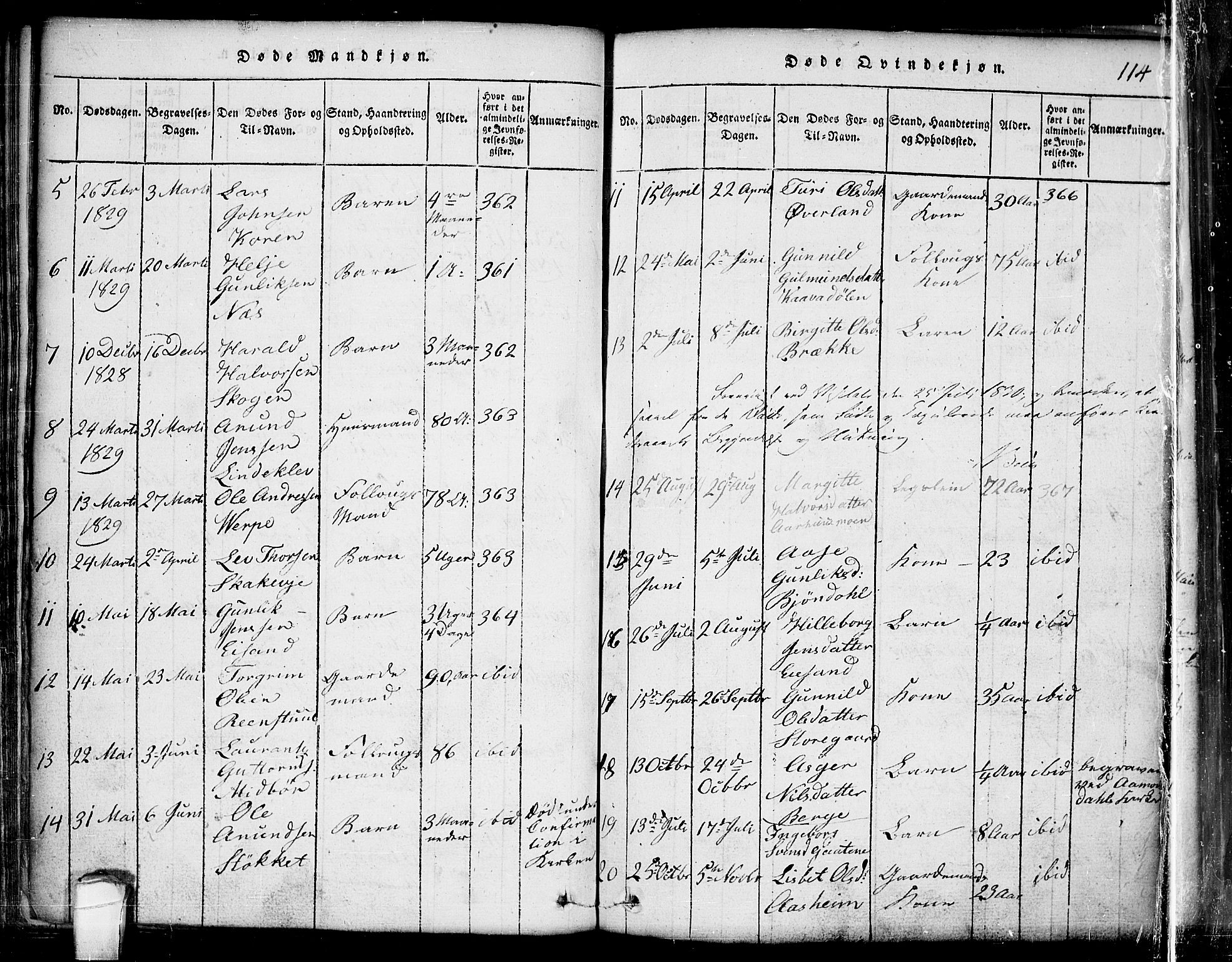 Seljord kirkebøker, SAKO/A-20/G/Ga/L0001: Parish register (copy) no. I 1, 1815-1854, p. 114