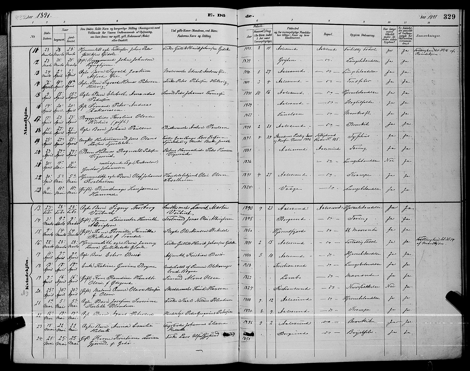 Ministerialprotokoller, klokkerbøker og fødselsregistre - Møre og Romsdal, AV/SAT-A-1454/529/L0467: Parish register (copy) no. 529C04, 1889-1897, p. 329