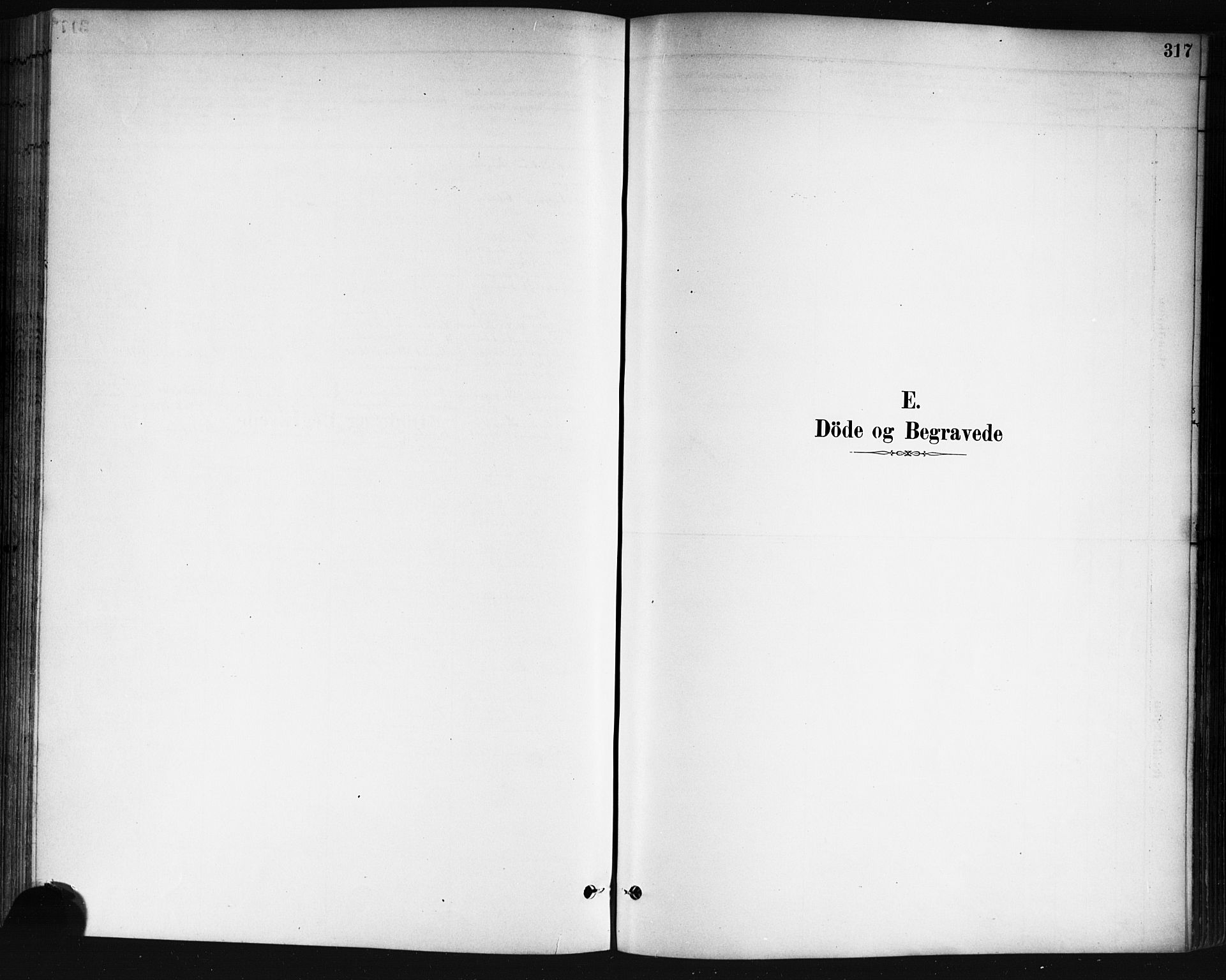 Skedsmo prestekontor Kirkebøker, SAO/A-10033a/G/Ga/L0004: Parish register (copy) no. I 4, 1883-1895, p. 317