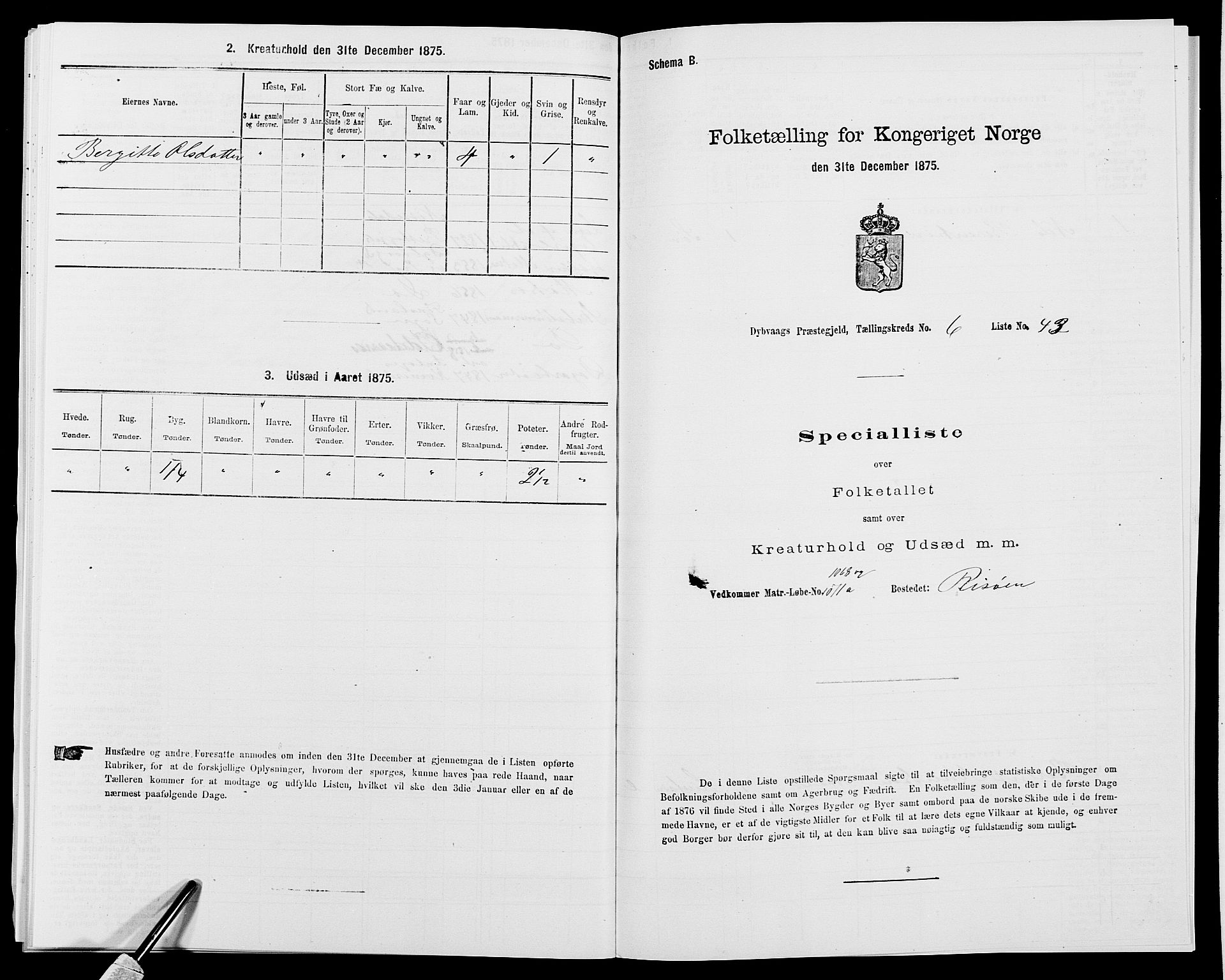 SAK, 1875 census for 0915P Dypvåg, 1875, p. 805