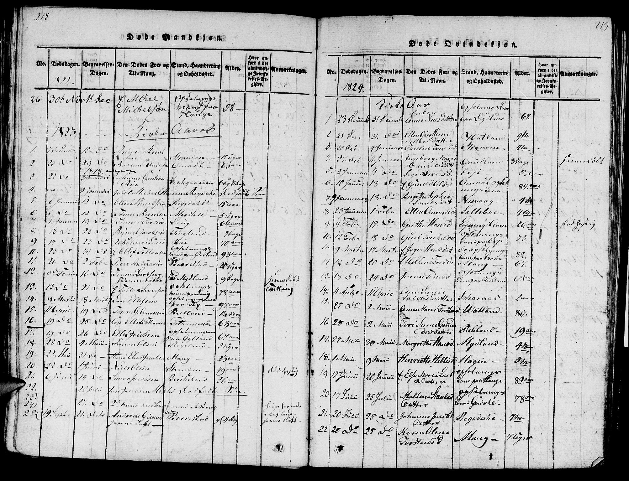 Sokndal sokneprestkontor, SAST/A-101808: Parish register (official) no. A 6, 1815-1826, p. 218-219