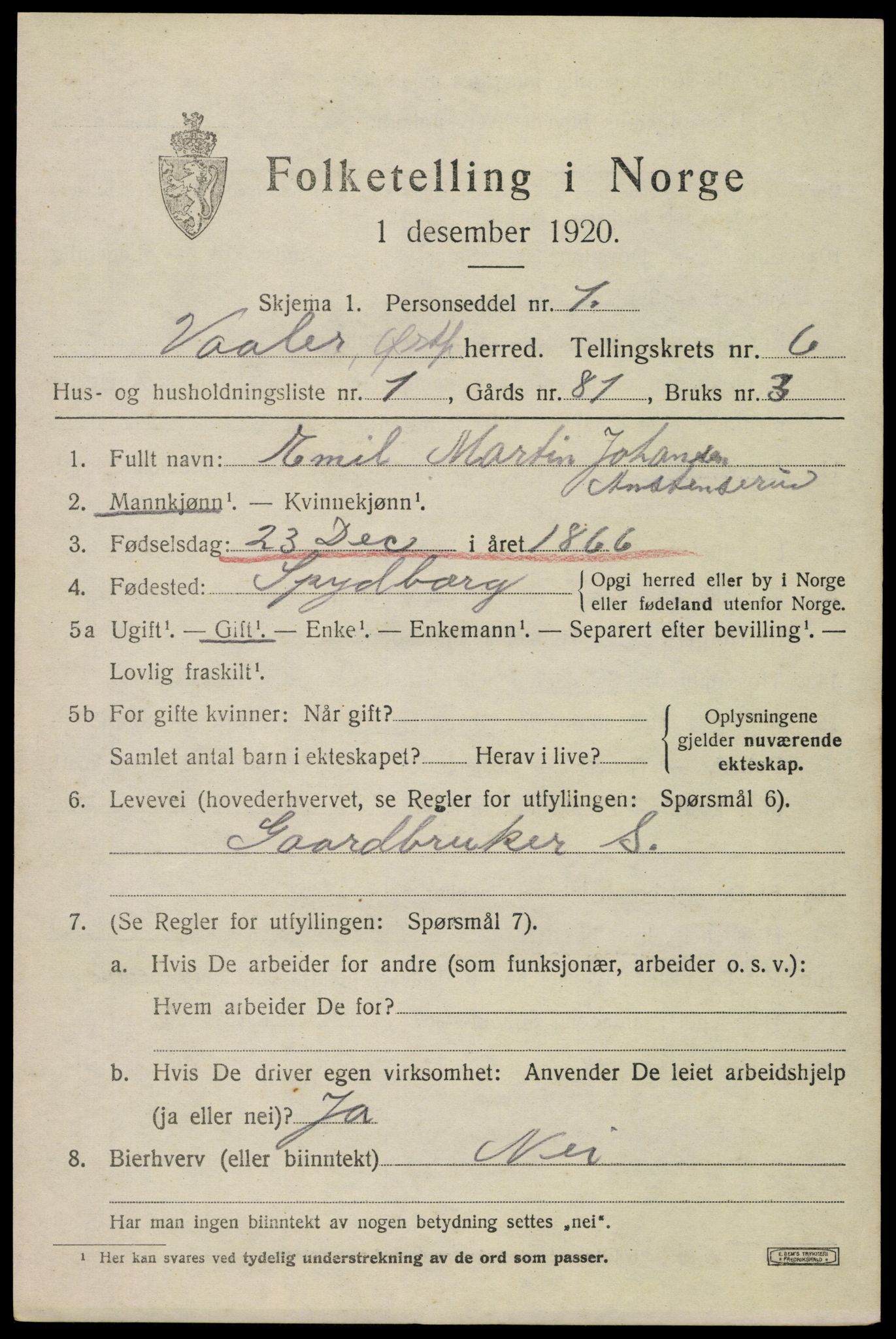 SAO, 1920 census for Våler, 1920, p. 3148