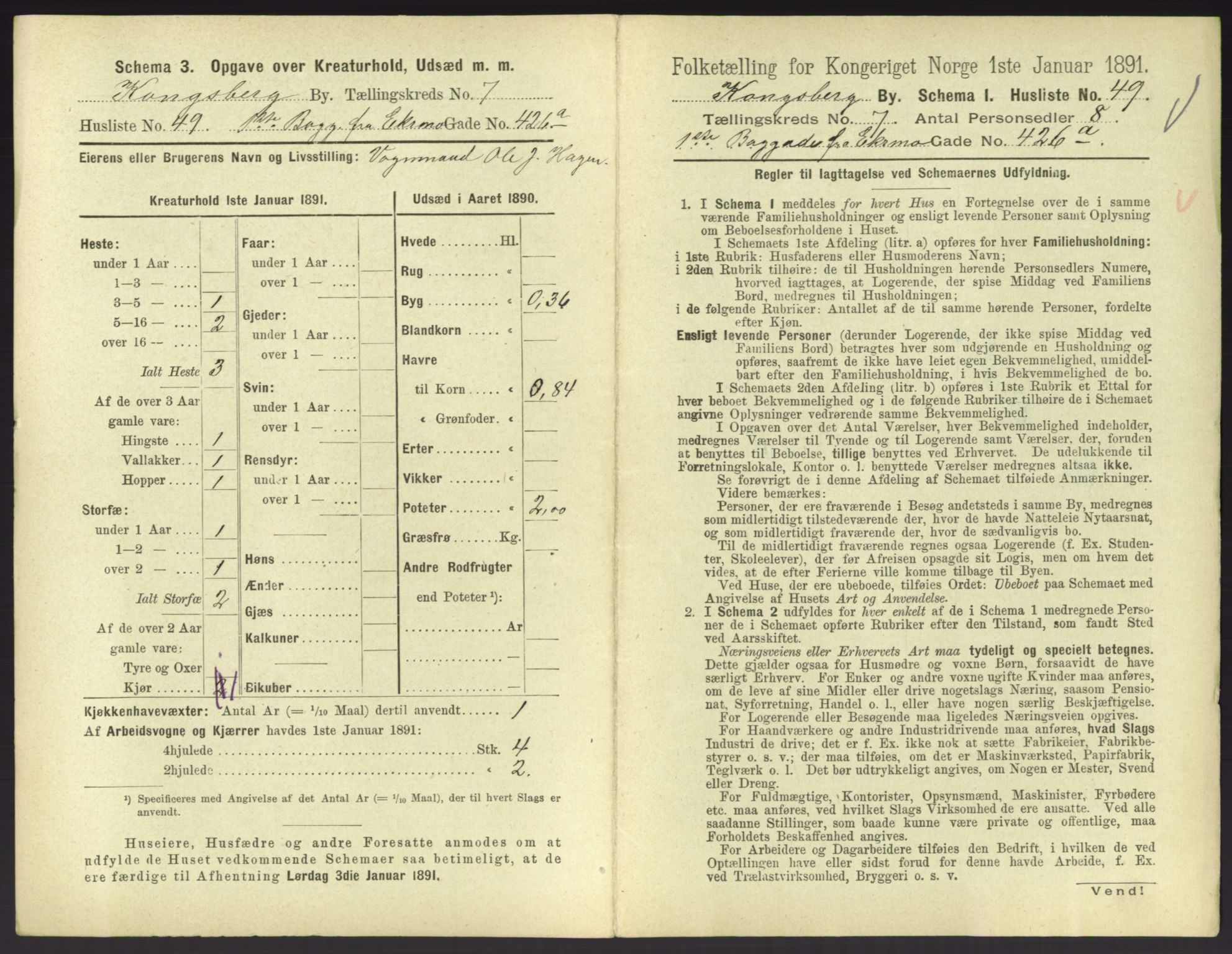 RA, 1891 census for 0604 Kongsberg, 1891, p. 1085