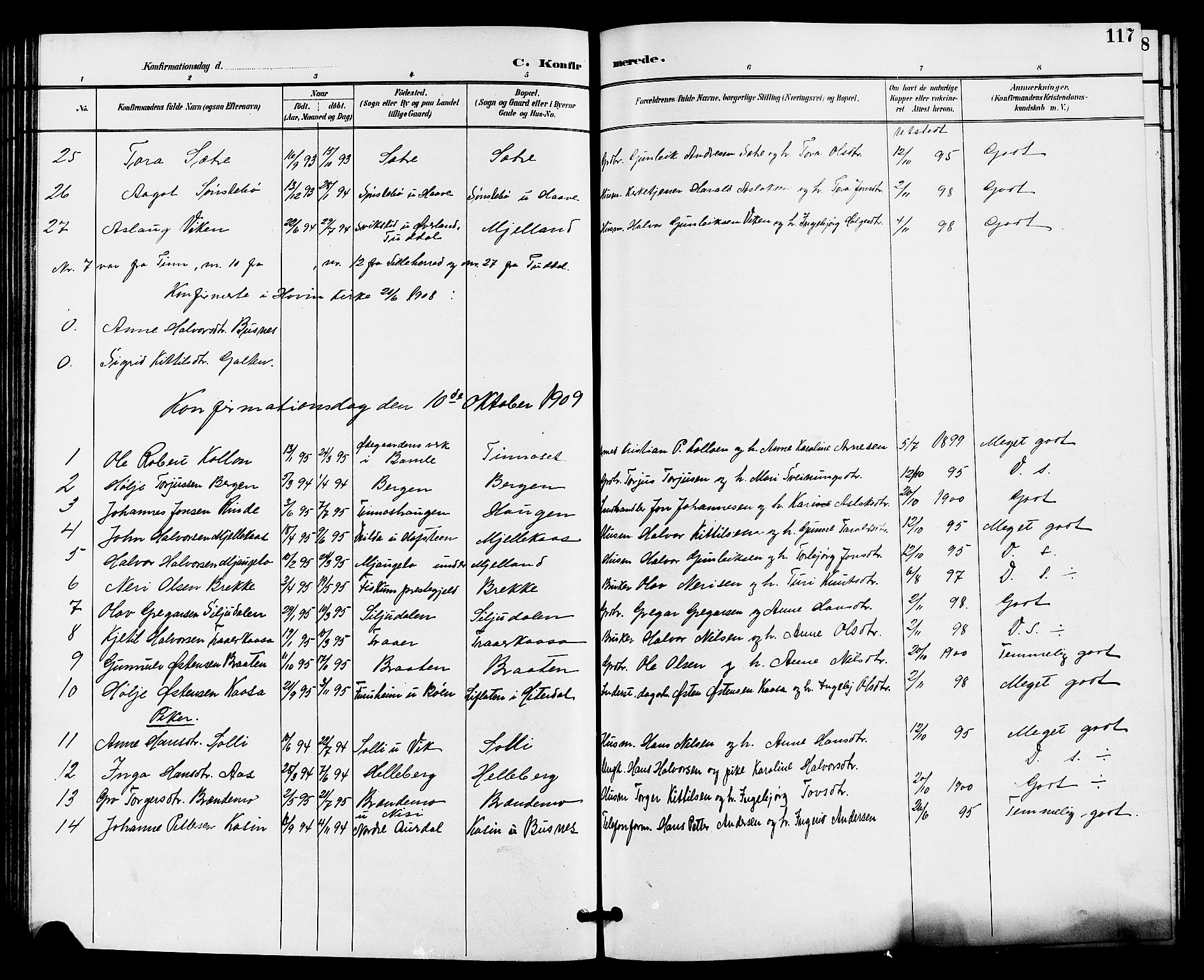 Gransherad kirkebøker, SAKO/A-267/G/Ga/L0003: Parish register (copy) no. I 3, 1887-1915, p. 117