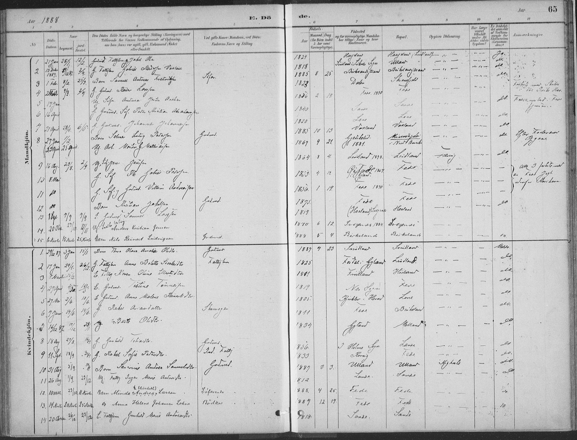 Kvinesdal sokneprestkontor, SAK/1111-0026/F/Fa/Faa/L0004: Parish register (official) no. A 4, 1882-1897, p. 65
