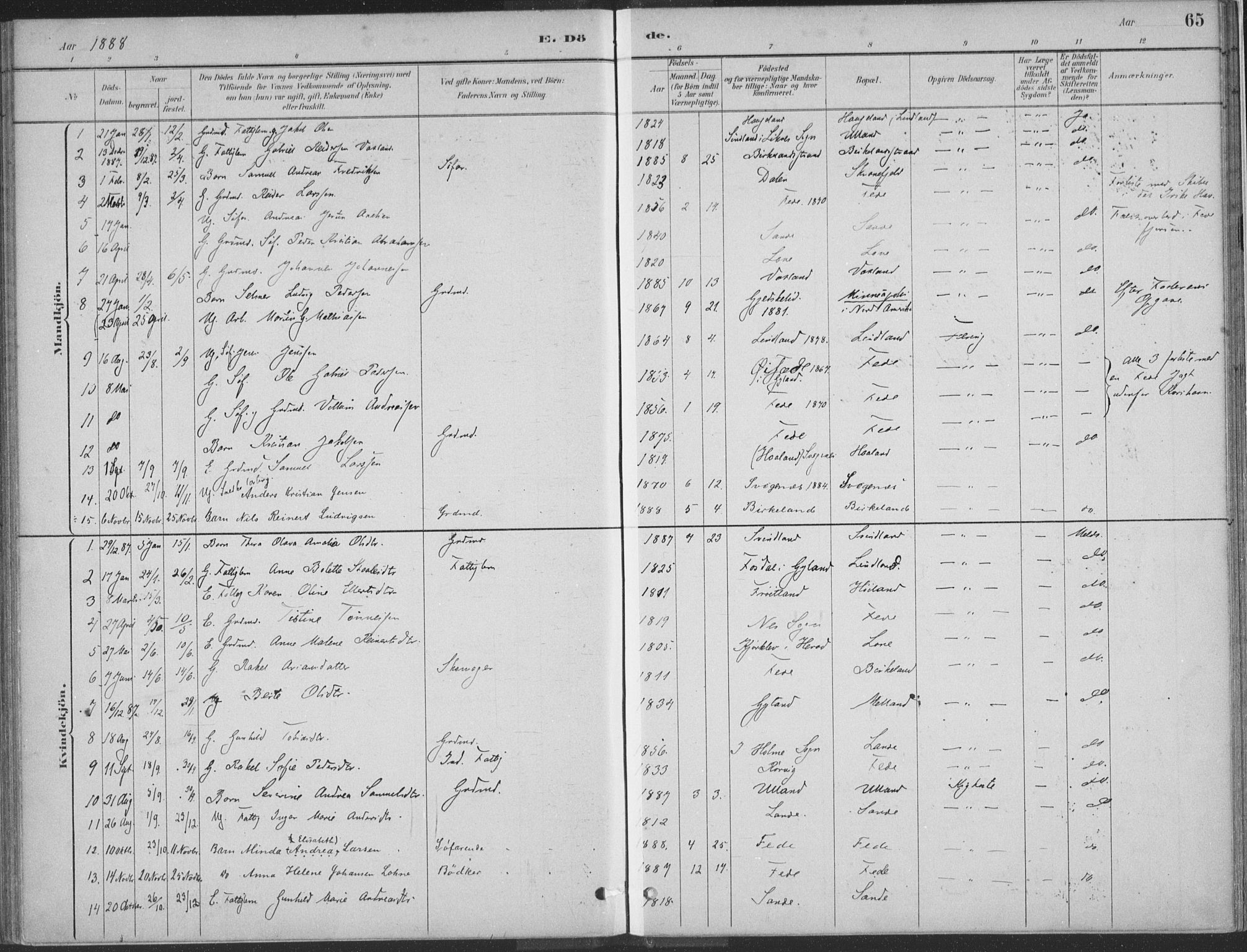 Kvinesdal sokneprestkontor, AV/SAK-1111-0026/F/Fa/Faa/L0004: Parish register (official) no. A 4, 1882-1897, p. 65