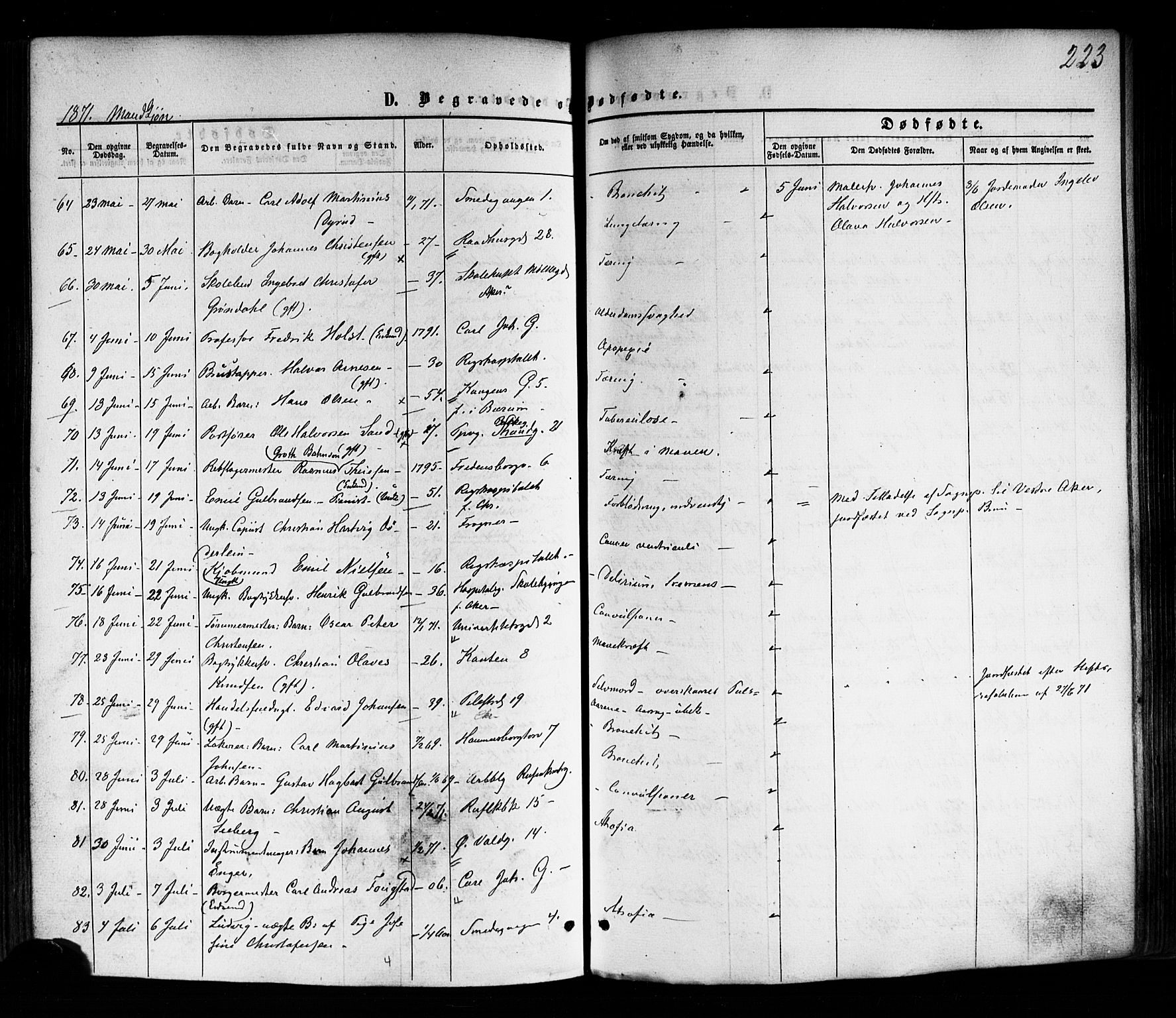 Trefoldighet prestekontor Kirkebøker, SAO/A-10882/F/Fd/L0001: Parish register (official) no. IV 1, 1858-1877, p. 223