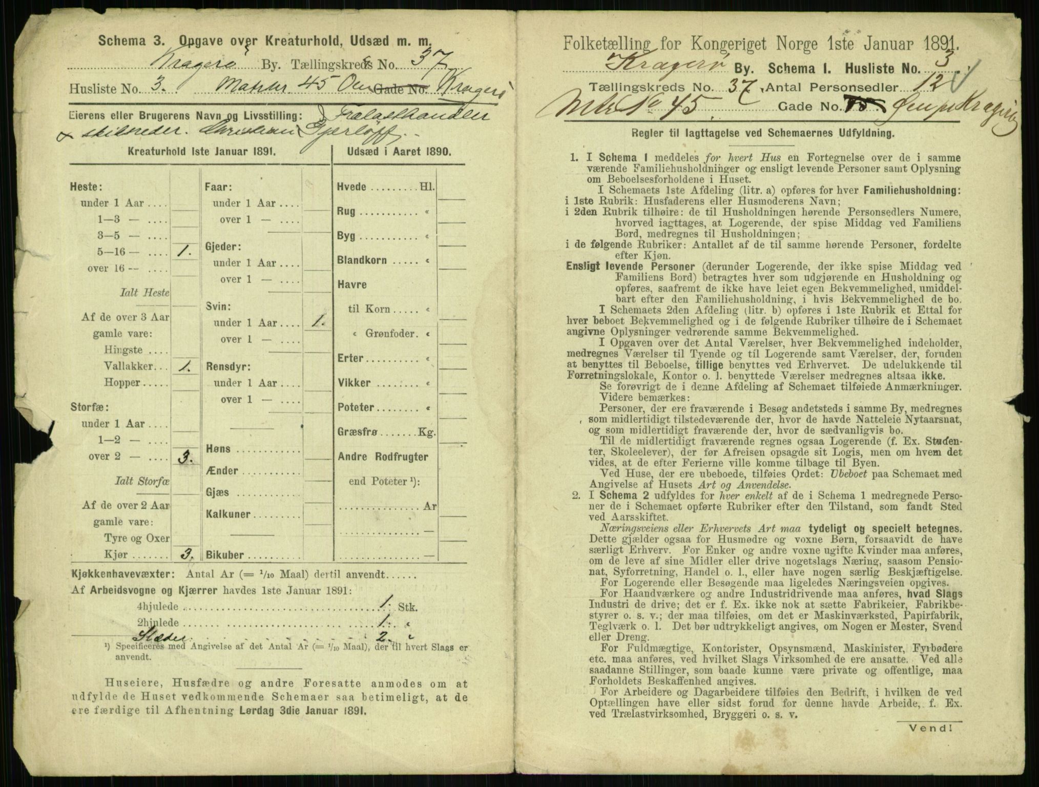 RA, 1891 census for 0801 Kragerø, 1891, p. 1450