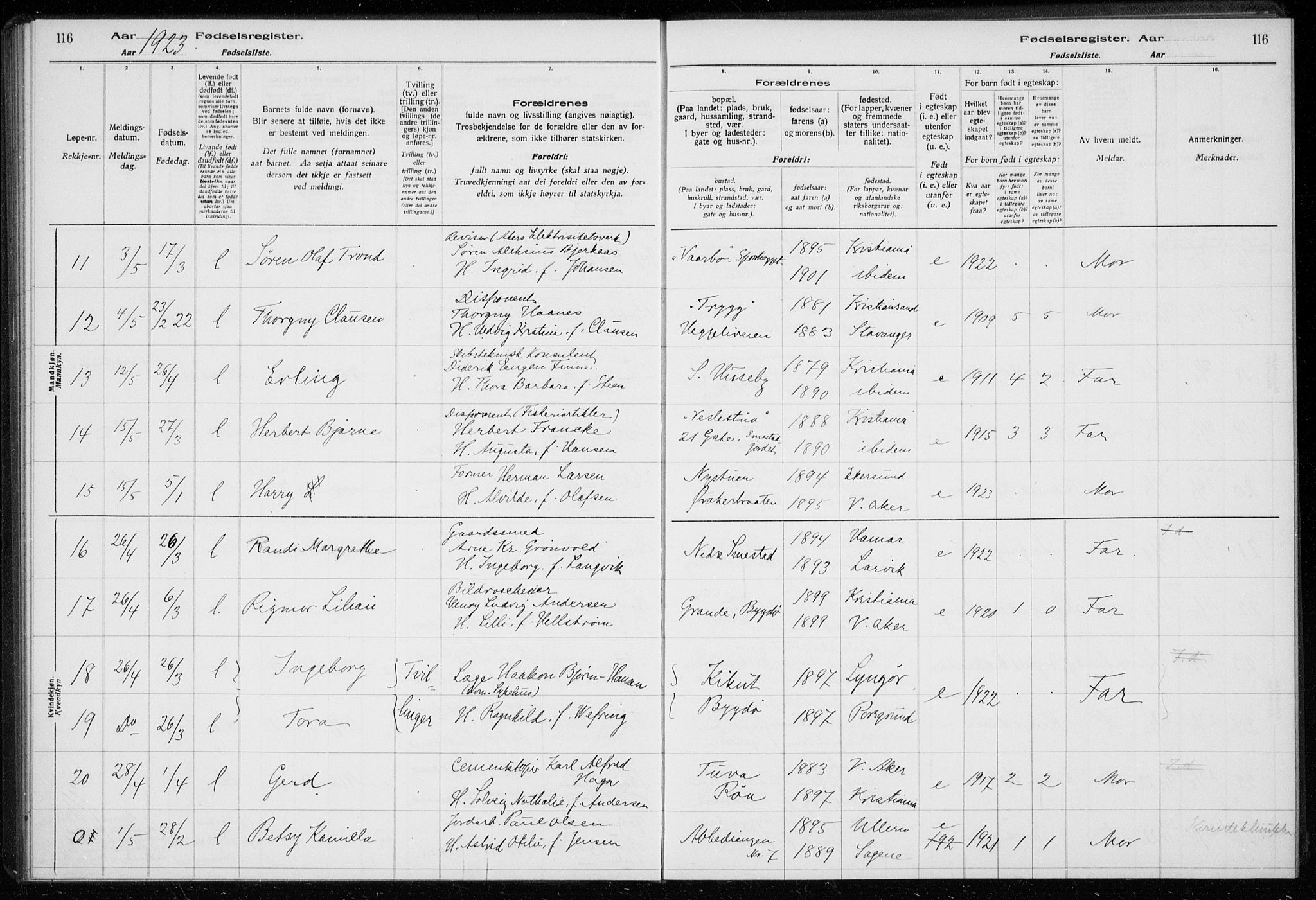 Ullern prestekontor Kirkebøker, SAO/A-10740/J/L0001: Birth register no. 1, 1916-1928, p. 116