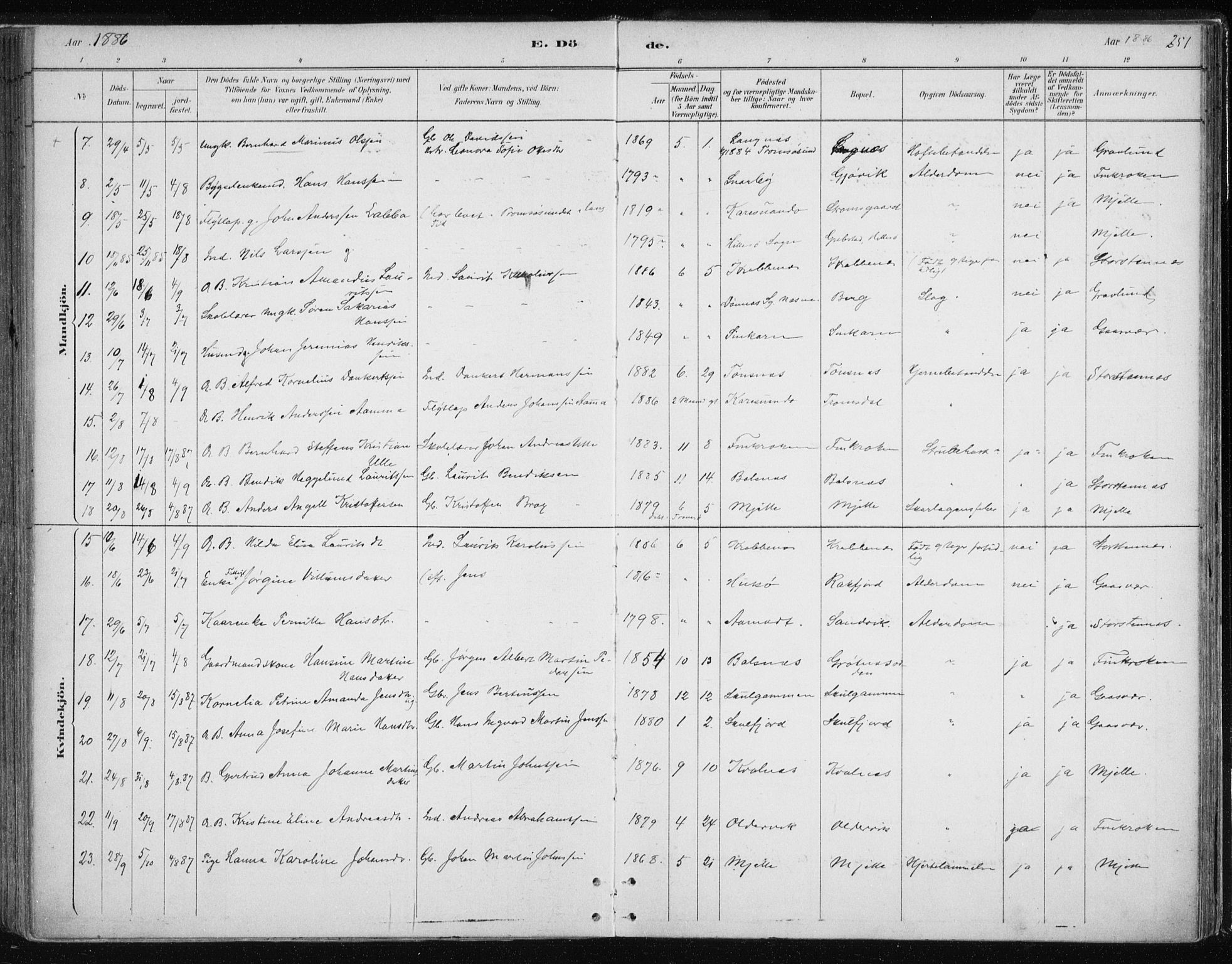 Tromsøysund sokneprestkontor, SATØ/S-1304/G/Ga/L0004kirke: Parish register (official) no. 4, 1880-1888, p. 251